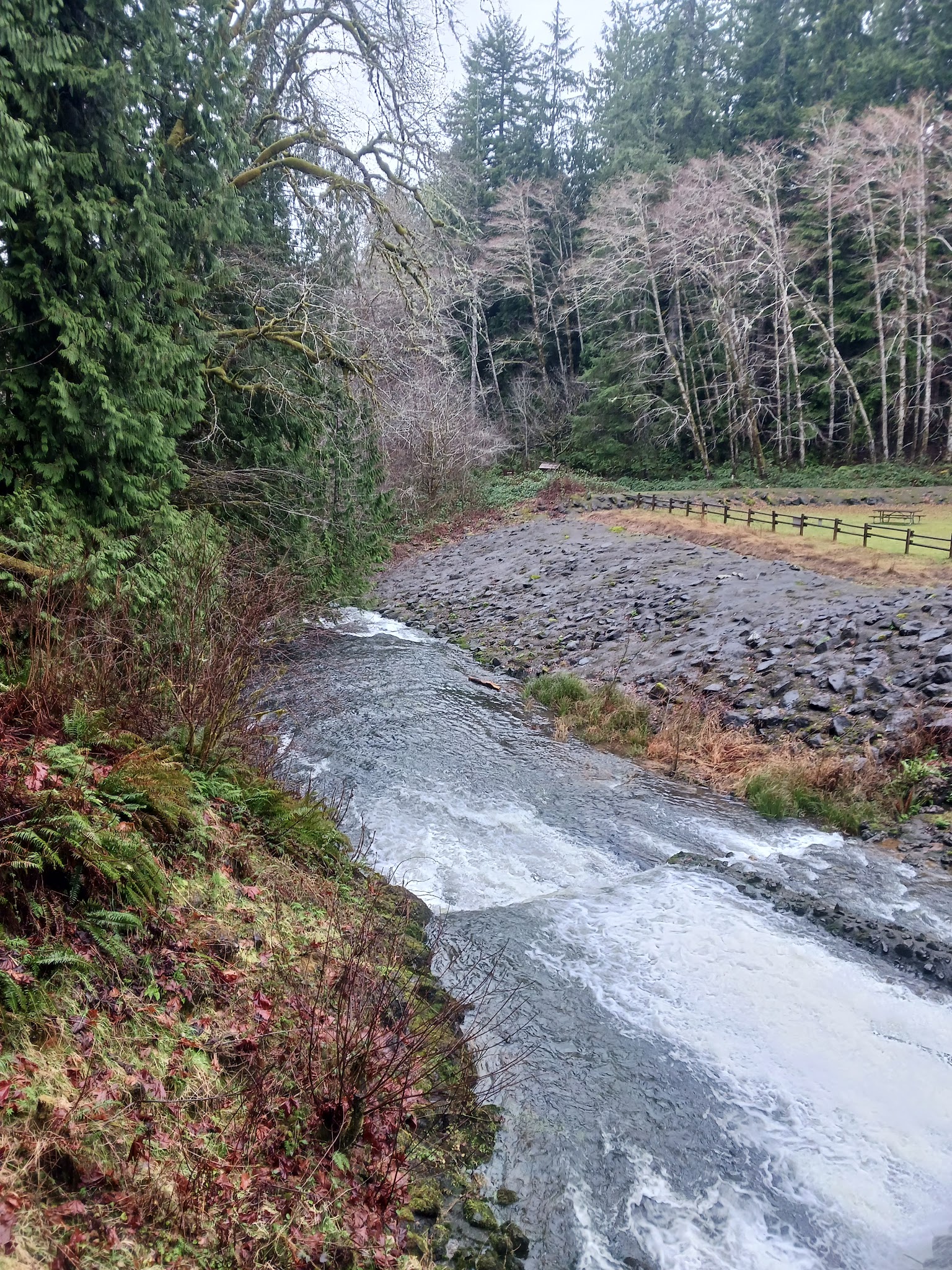 Lake Sylvia State Park