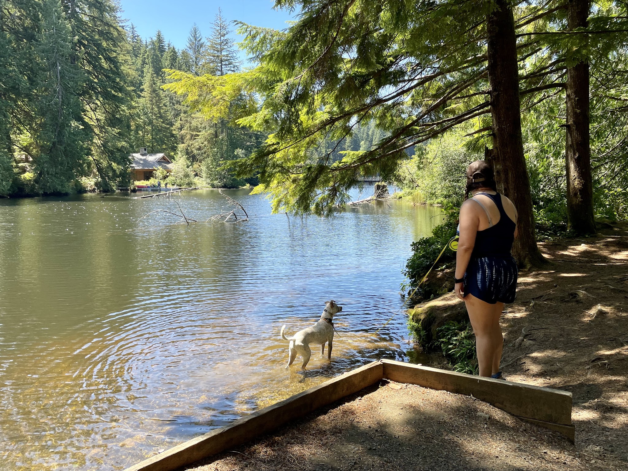 Lake Sylvia State Park