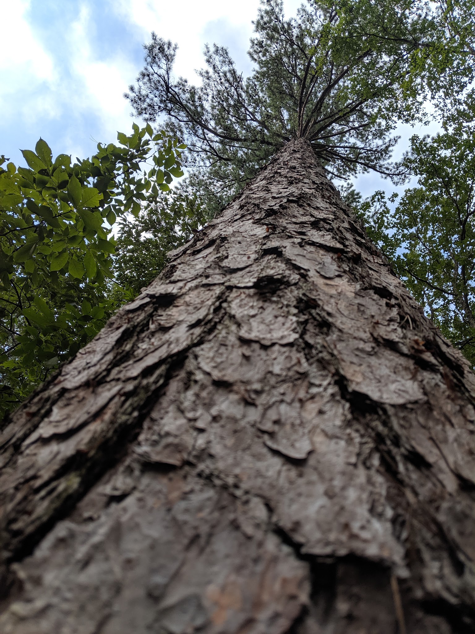 Lake Sylvia Recreation Area