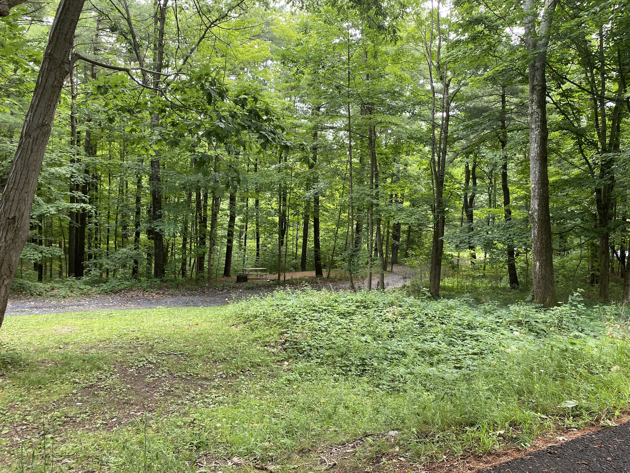 Lake Taghkanic State Park
