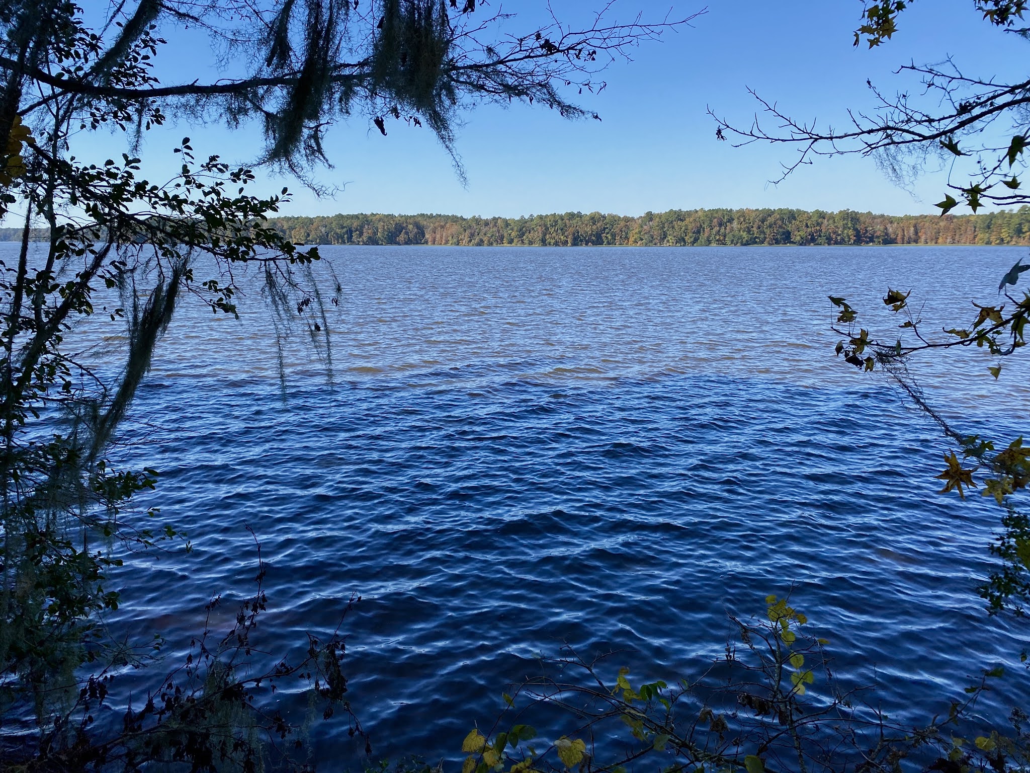 Ft. Braden Primitive Campsites Lake Talquin State Forest