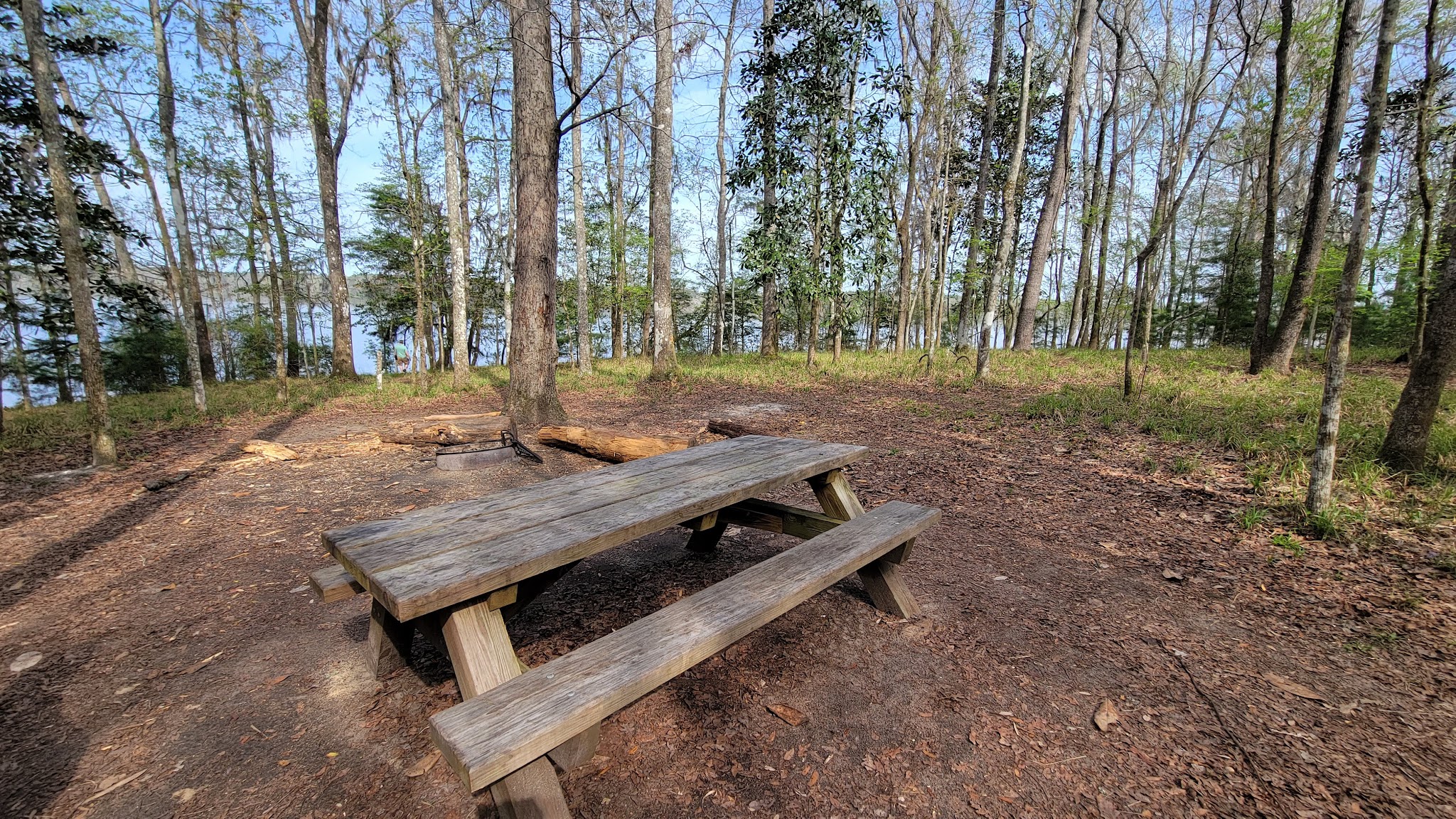Ft. Braden Primitive Campsites Lake Talquin State Forest