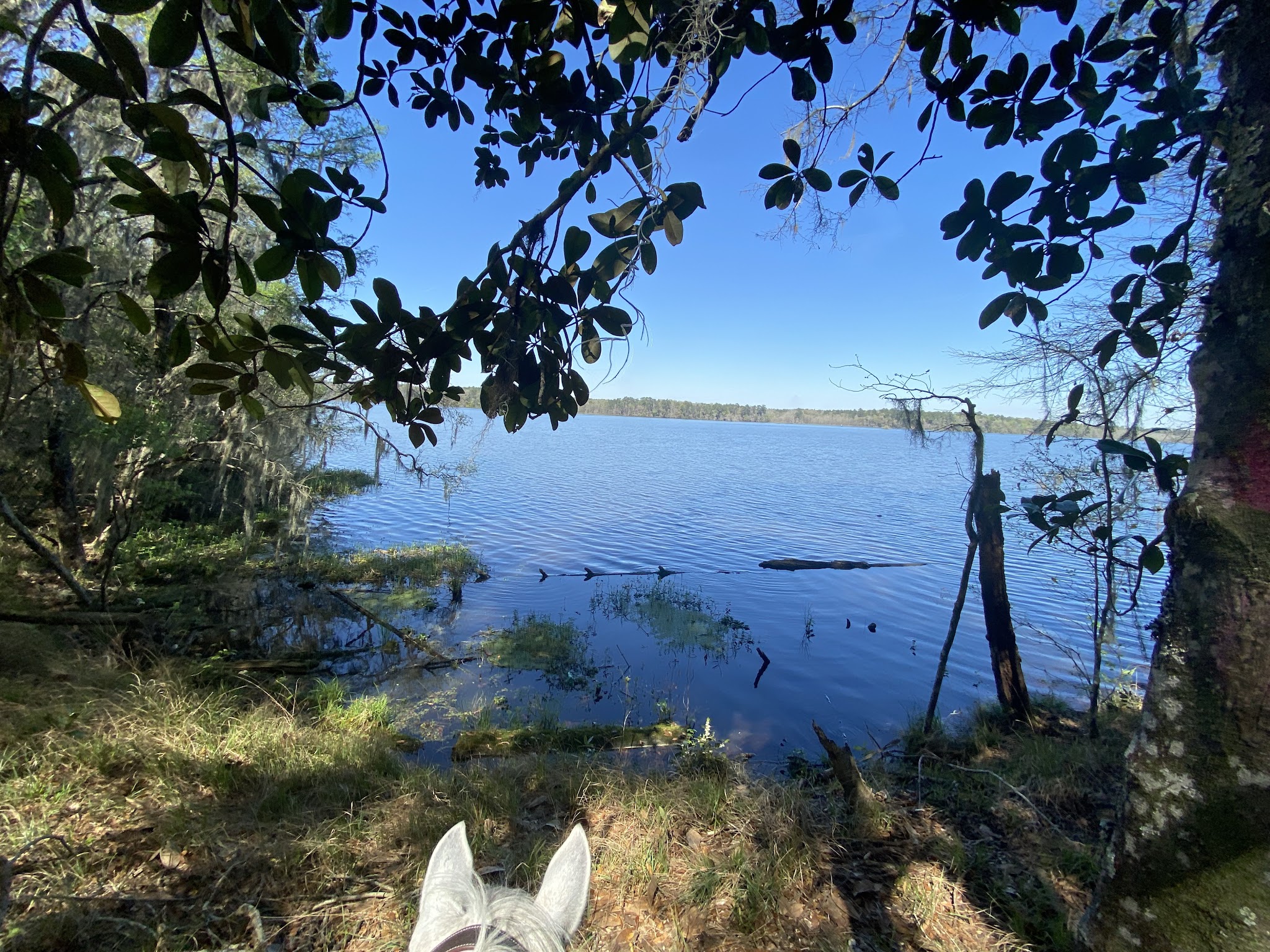 Ft. Braden Primitive Campsites Lake Talquin State Forest