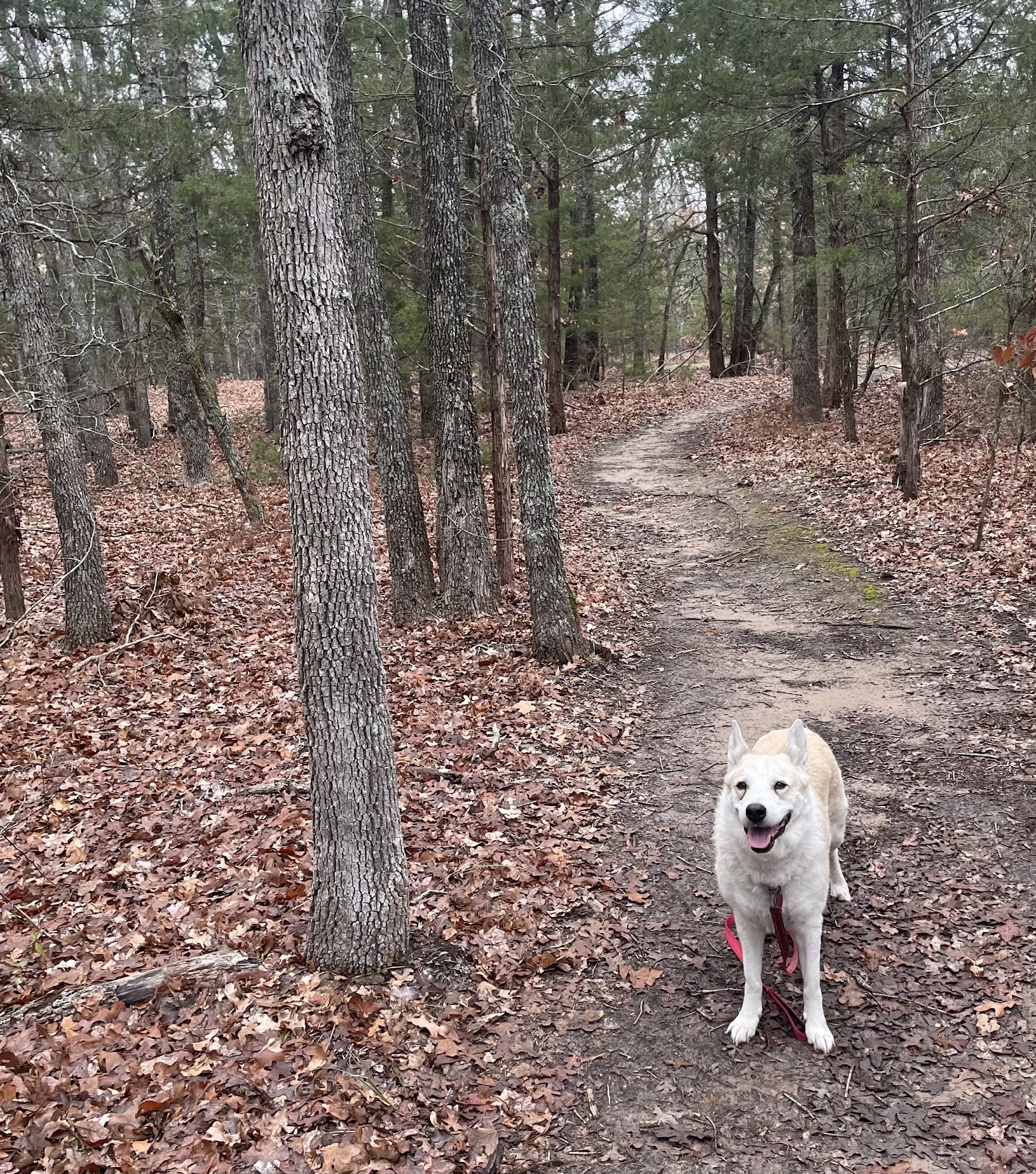 Lake Tawakoni State Park