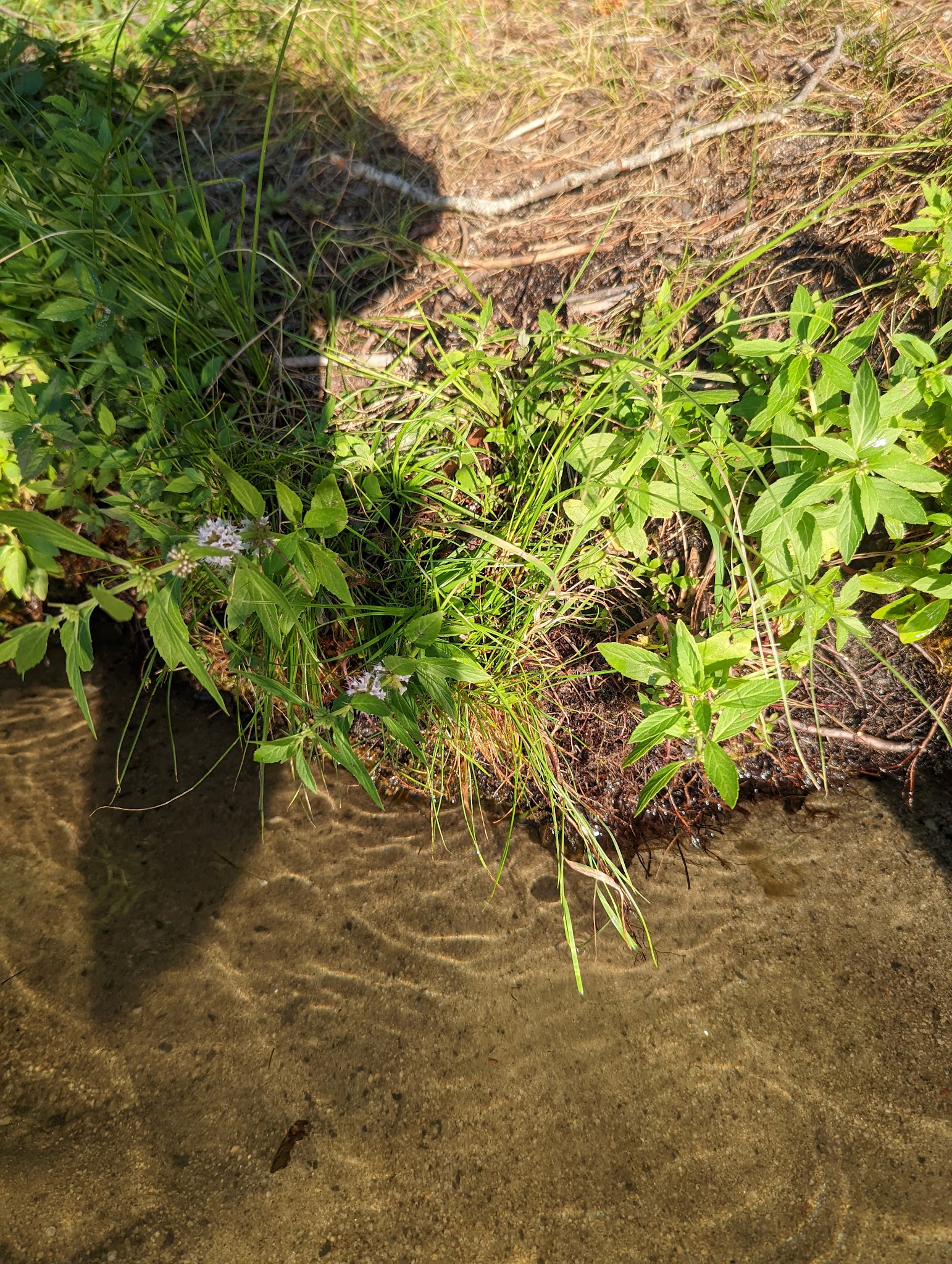 Lake Thomas Campground