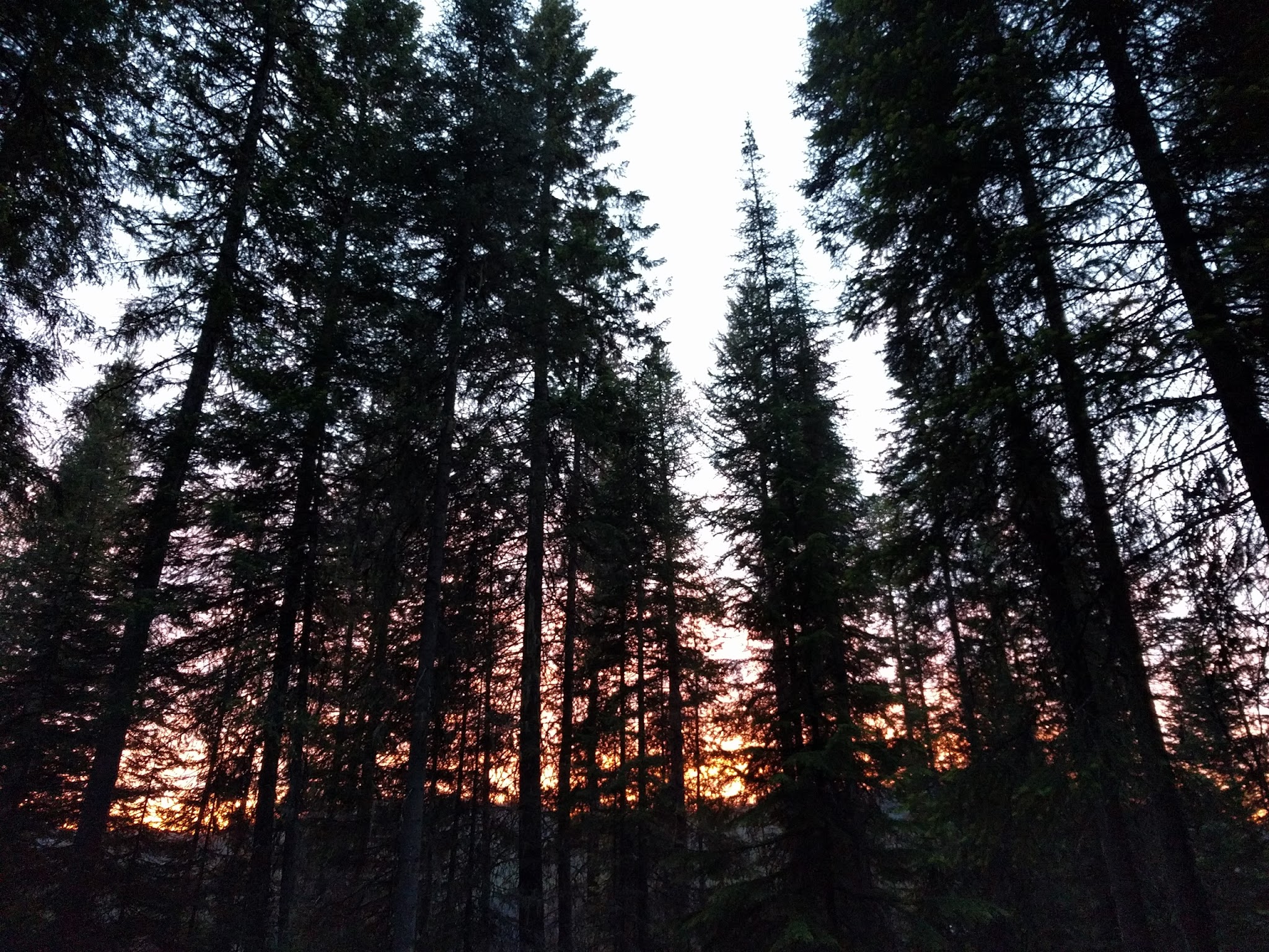 Lake Thomas Campground