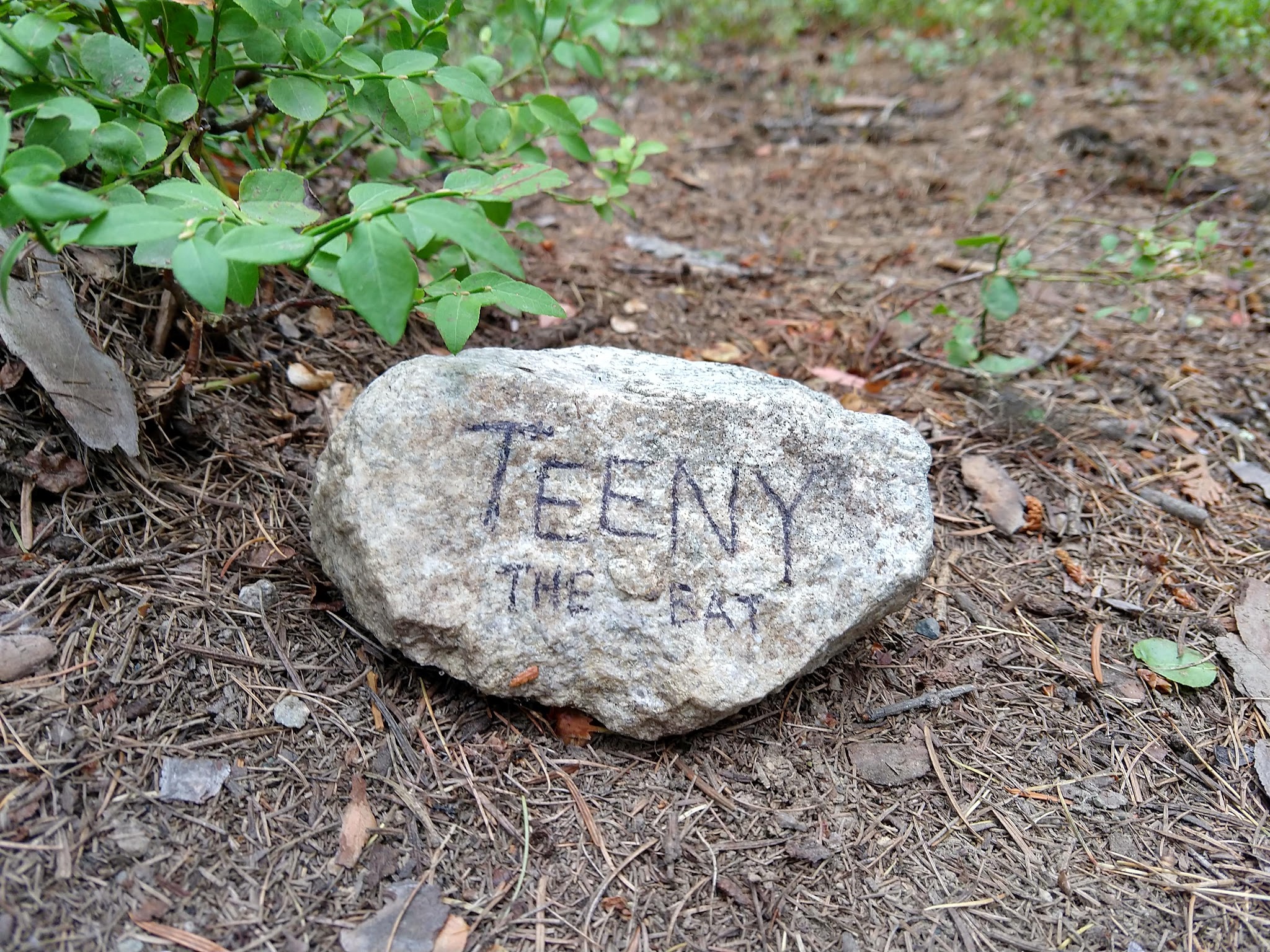 Lake Thomas Campground