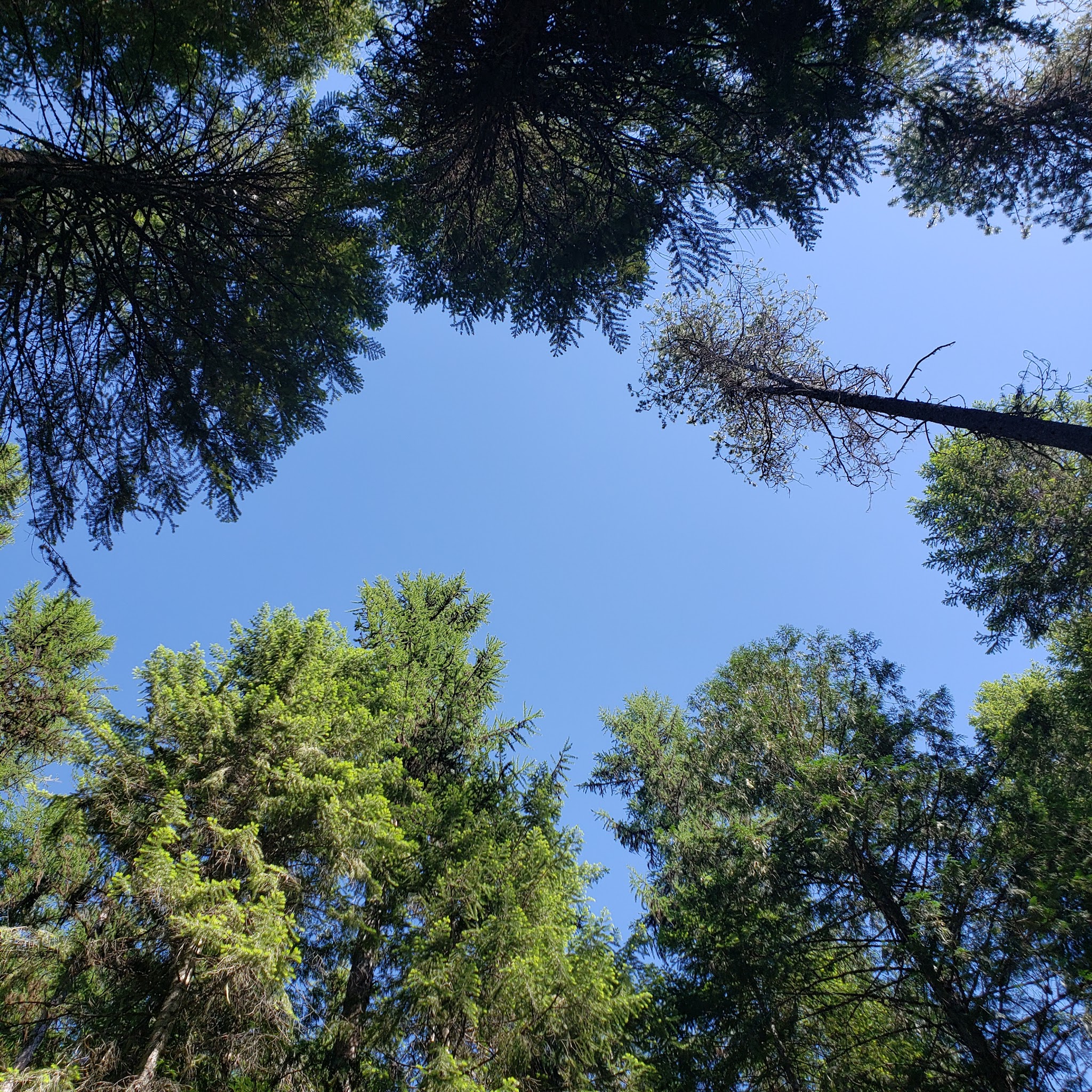 Lake Thomas Campground