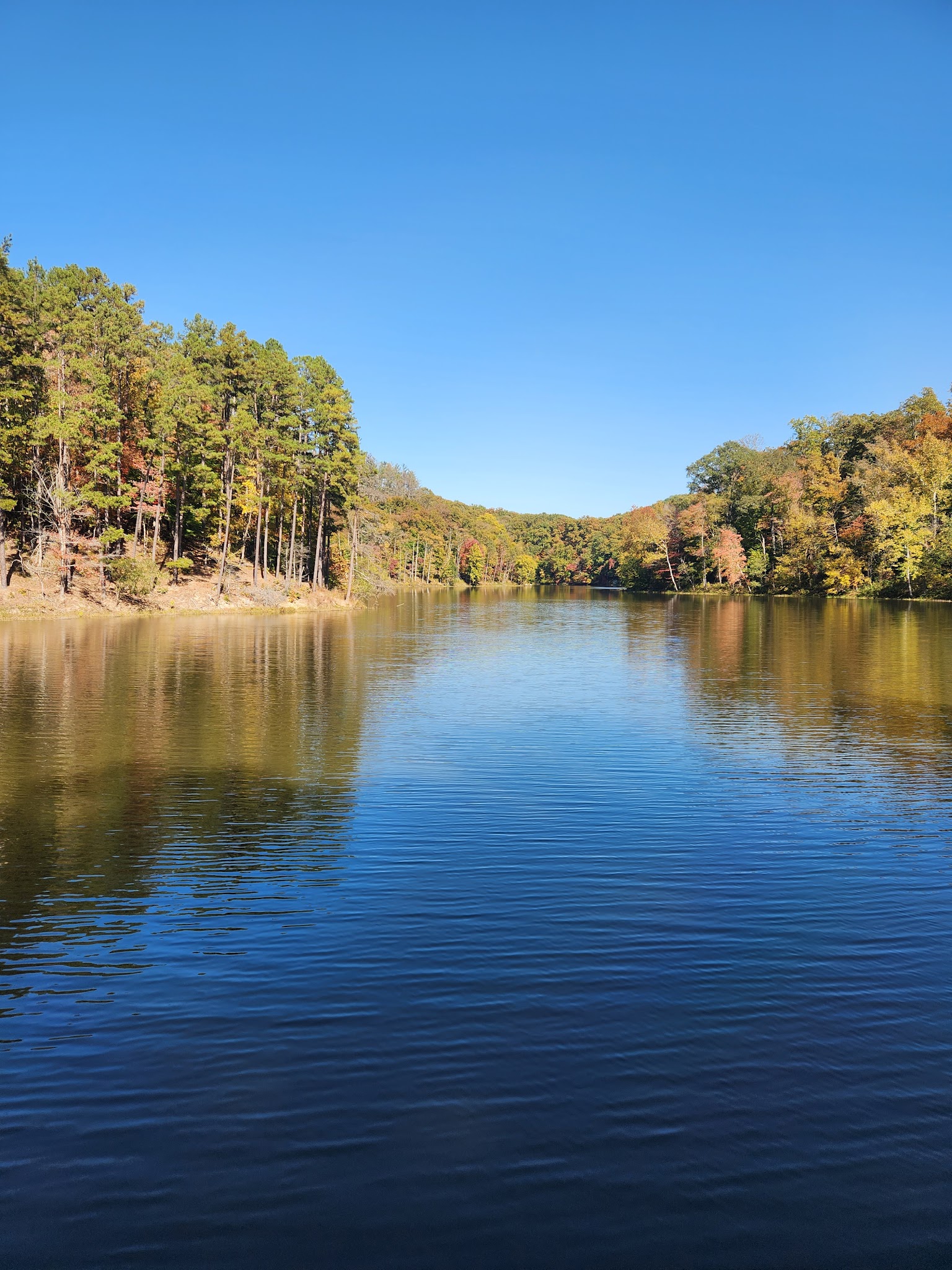 Lake Vesuvius Recreation Area