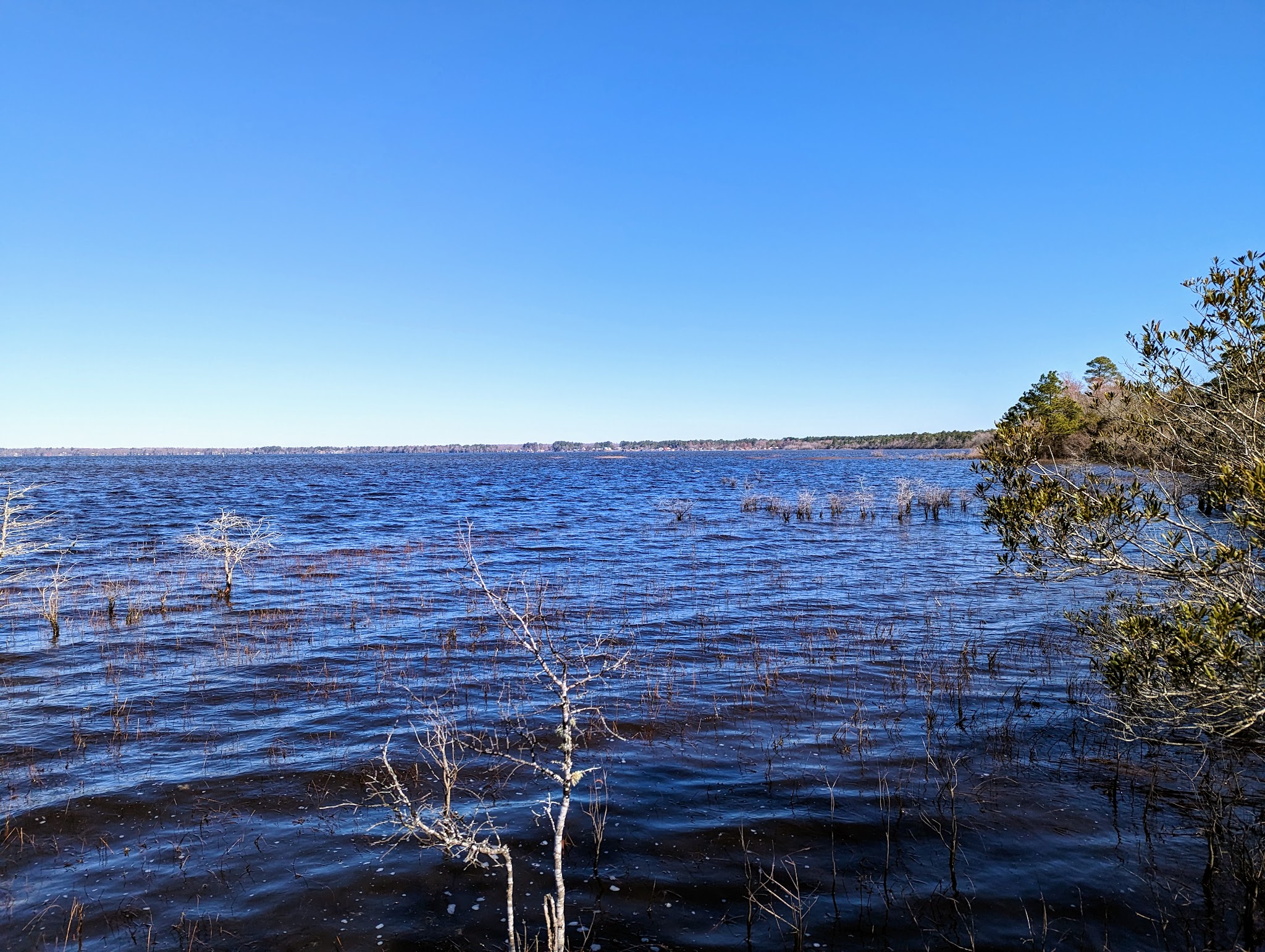 Lake Waccamaw State Park