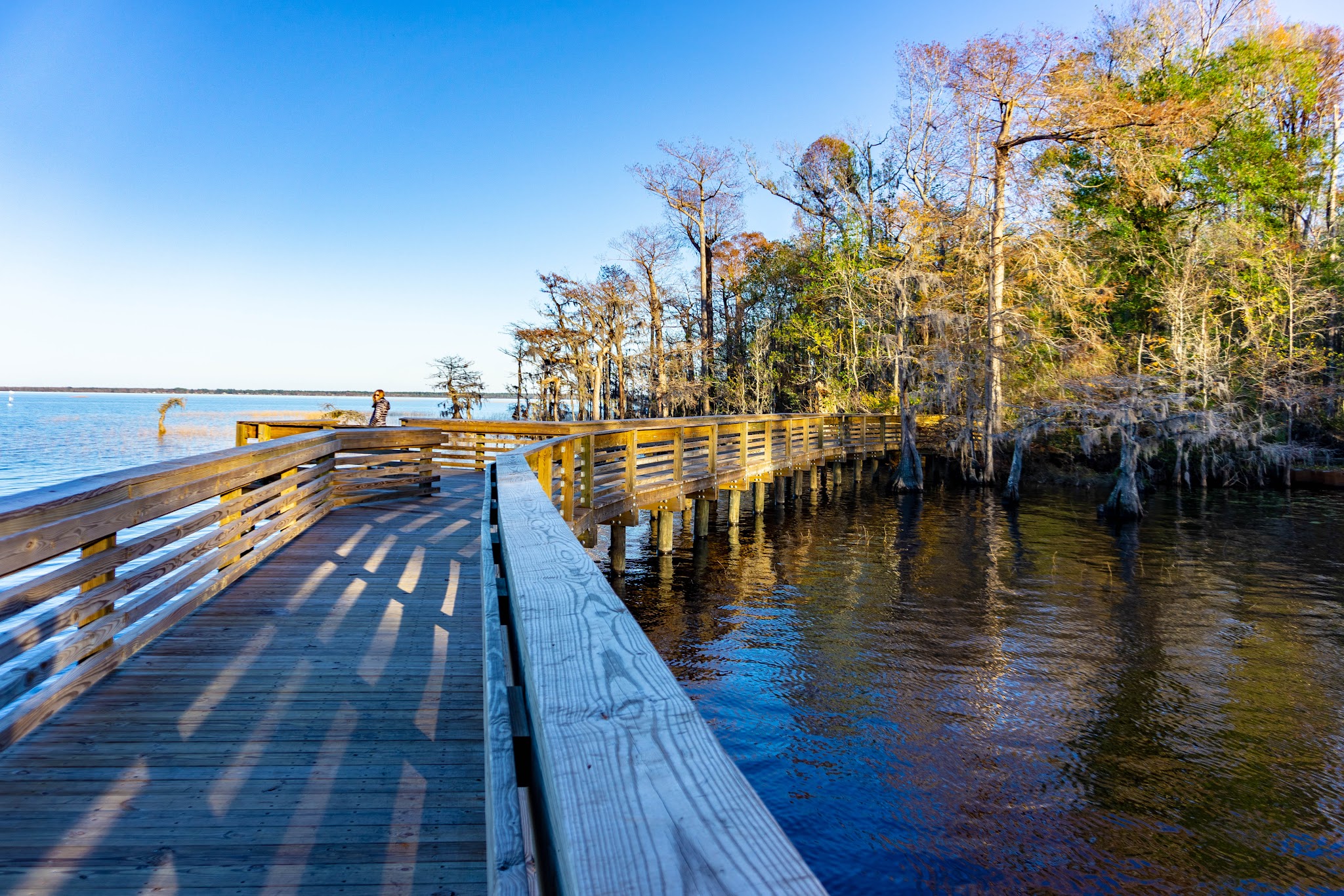 Lake Waccamaw State Park