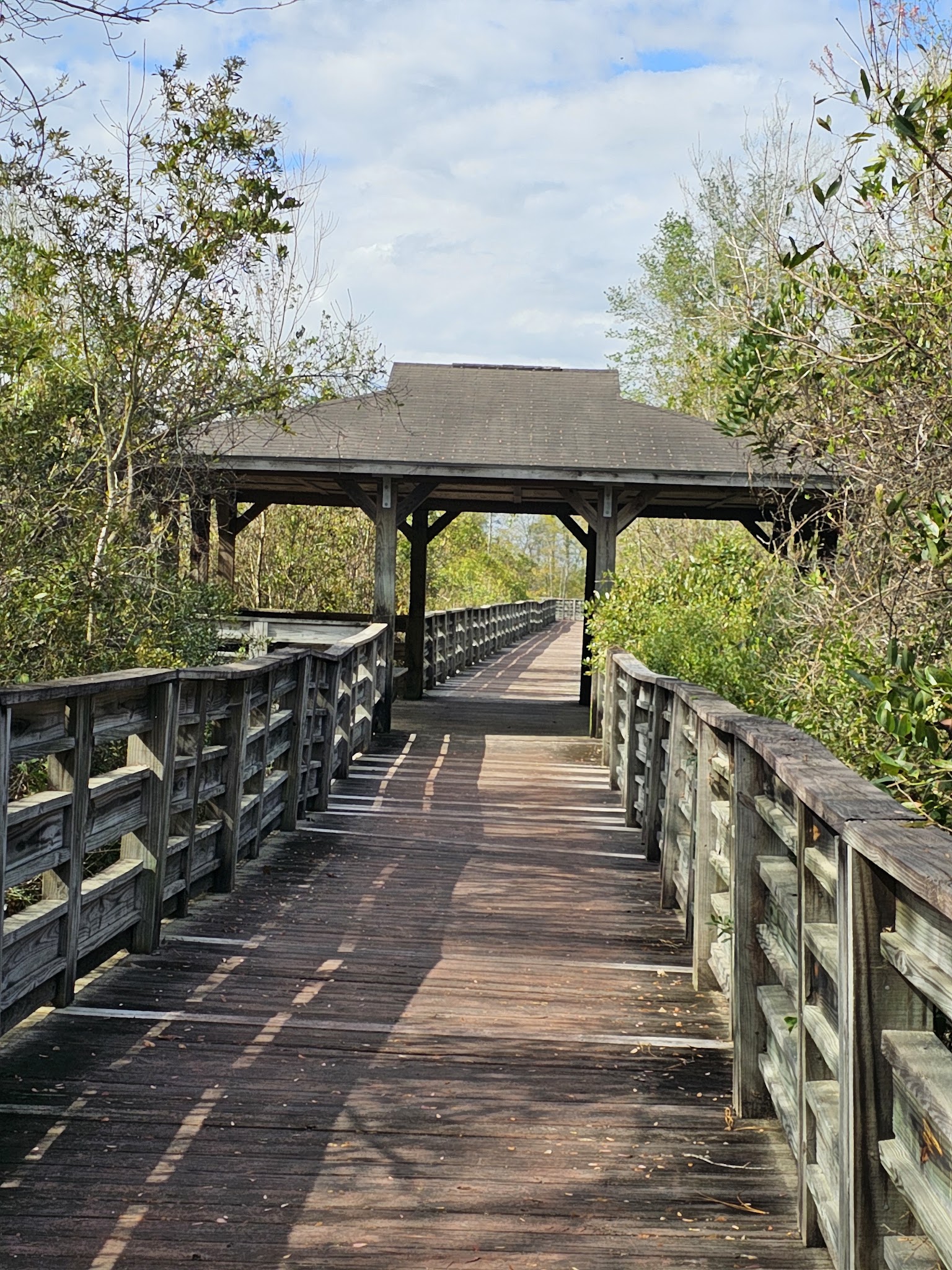 Lake Waccamaw State Park