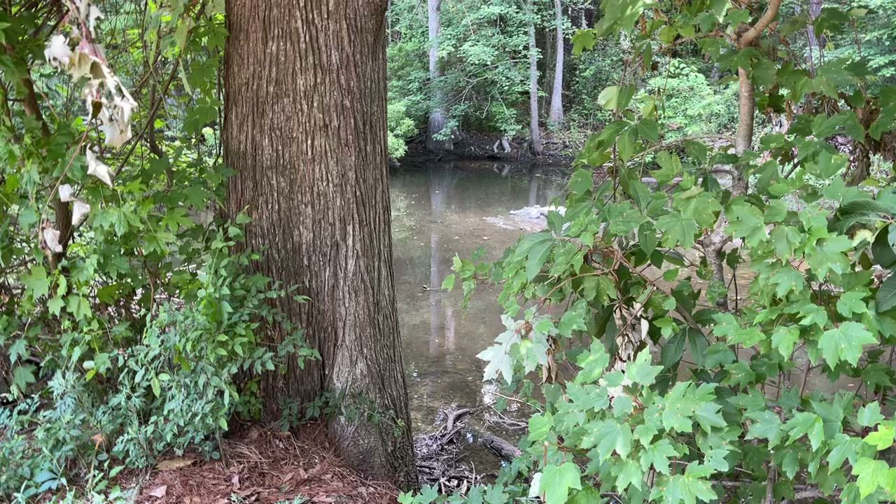Lake Waccamaw State Park