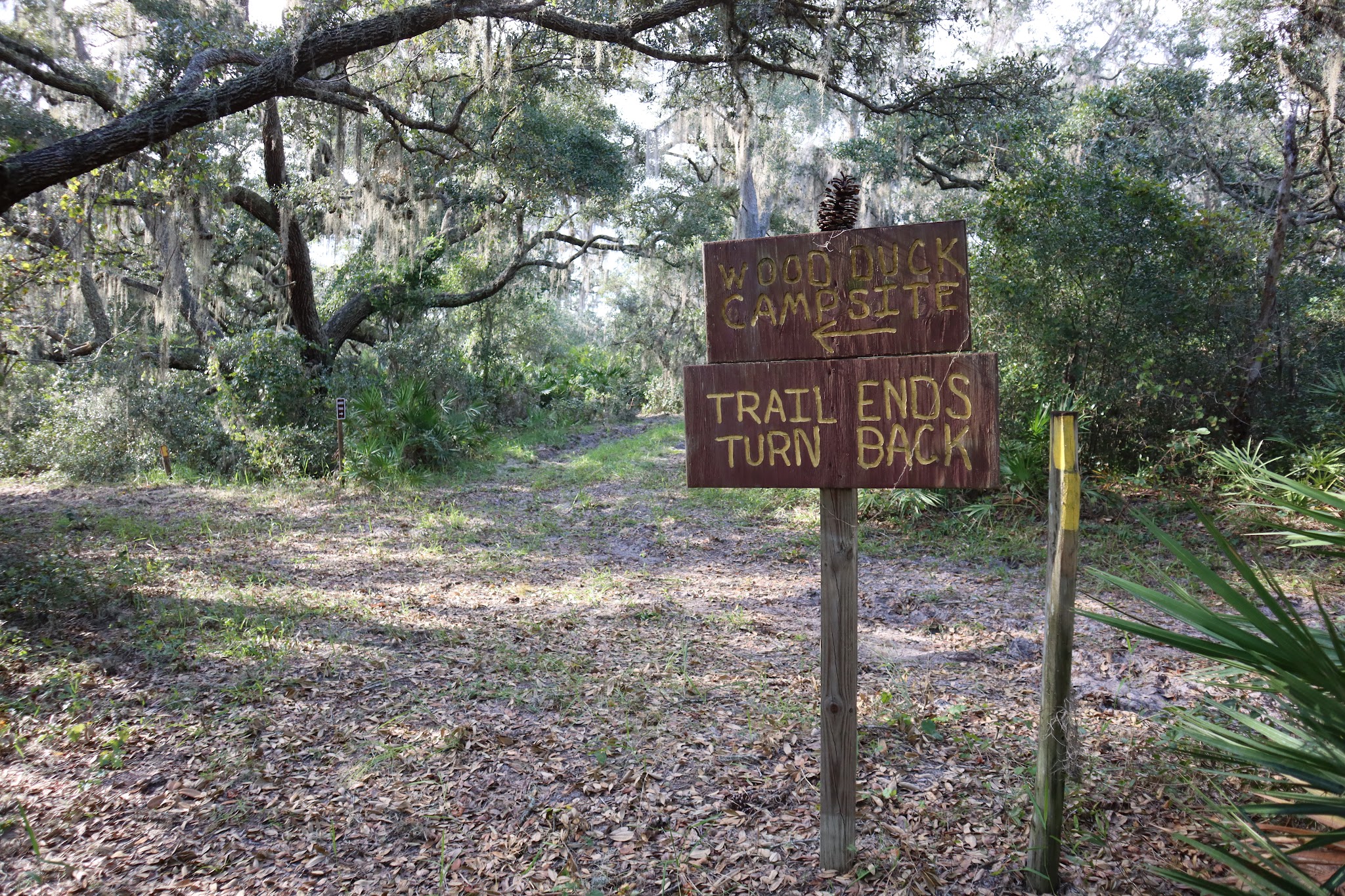 Walk In The Water Campground Lake Wales Ridge State Forest