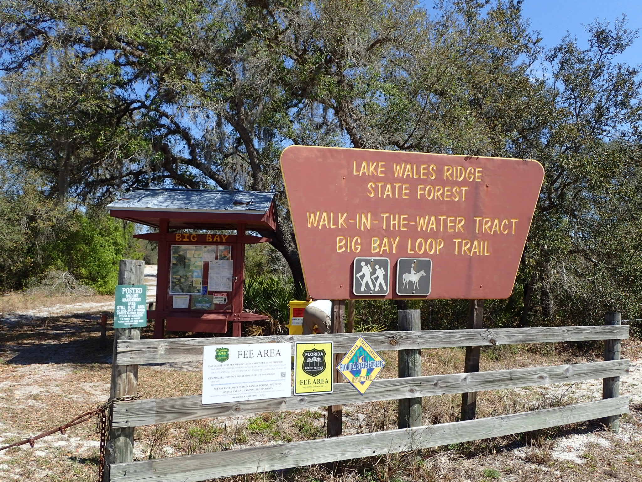 Walk In The Water Primitive Hike-In Campsites Lake Wales Ridge State Forest  