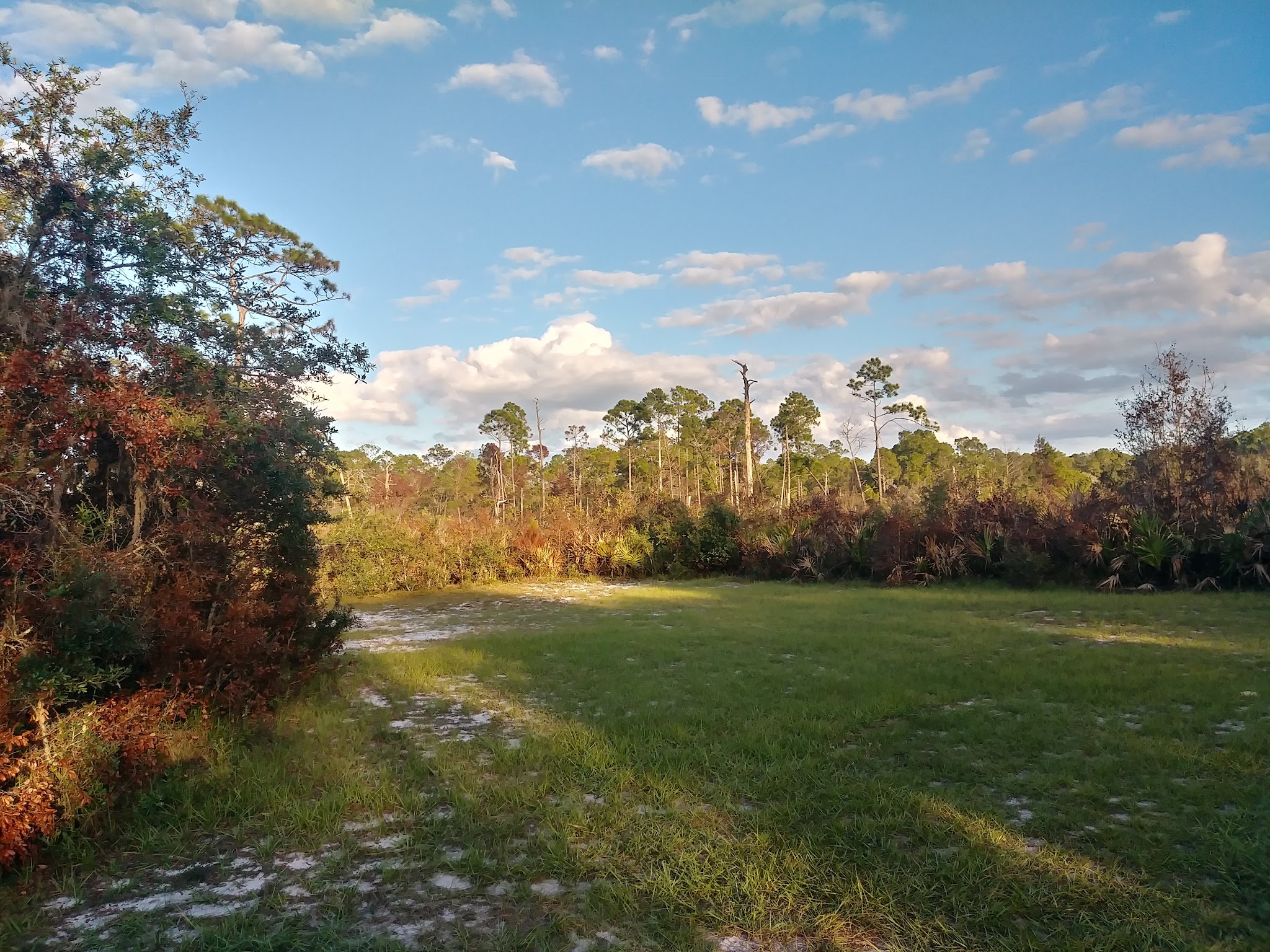 Livingston Creek Campground Lake Wales Ridge State Forest 