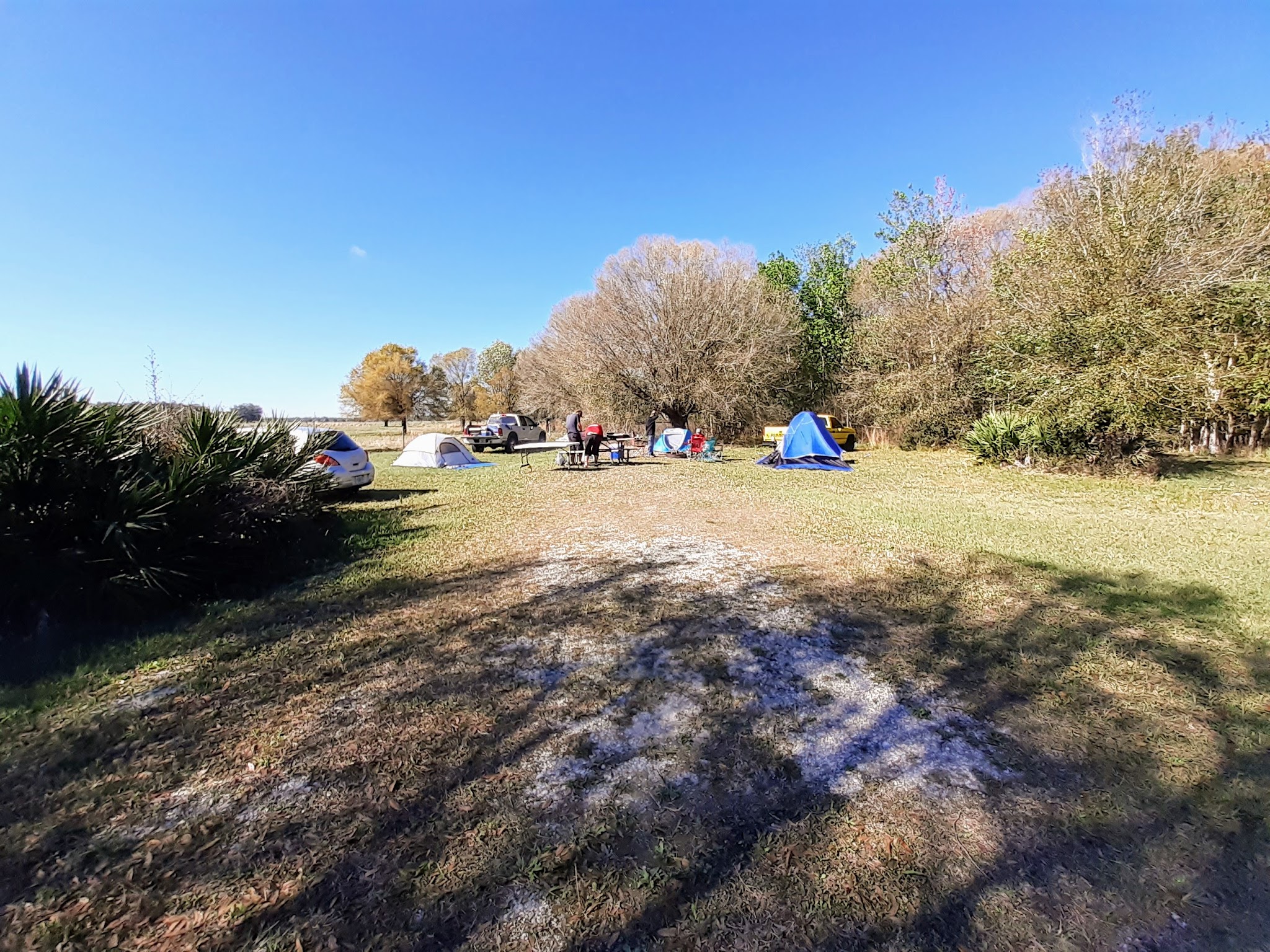 Livingston Creek Campground Lake Wales Ridge State Forest 