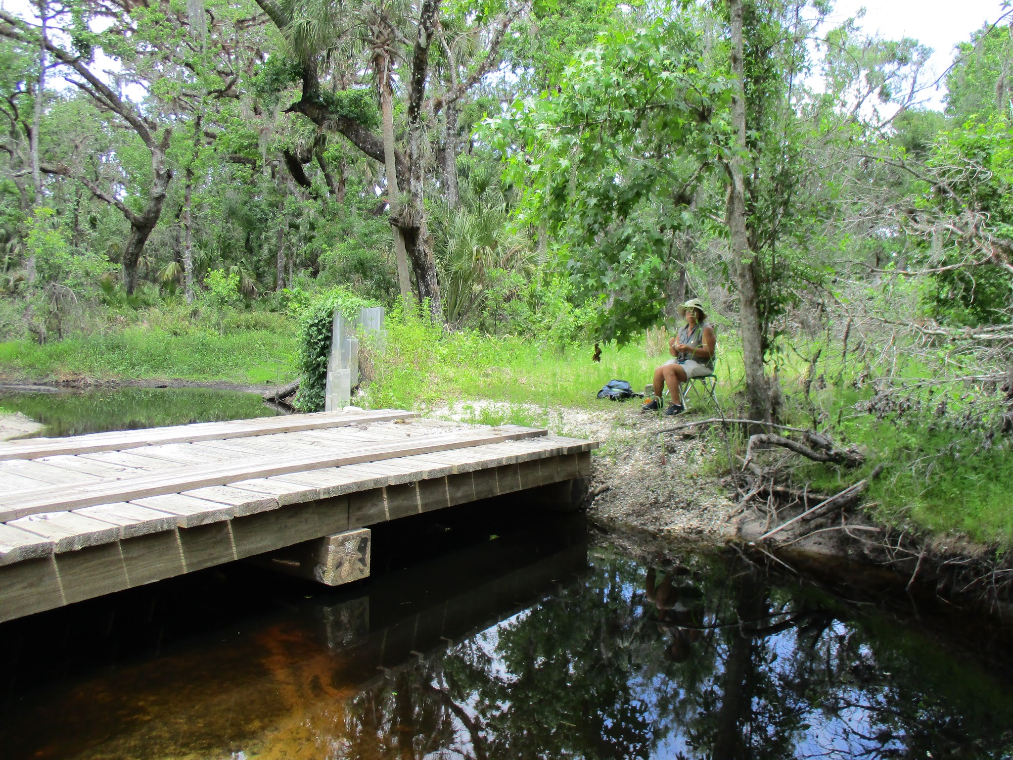 Walk In The Water Primitive Hike-In Campsites Lake Wales Ridge State Forest  