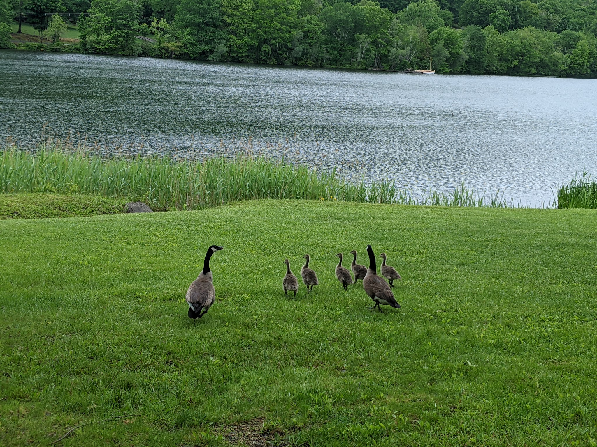 Lake Waramaug State Park