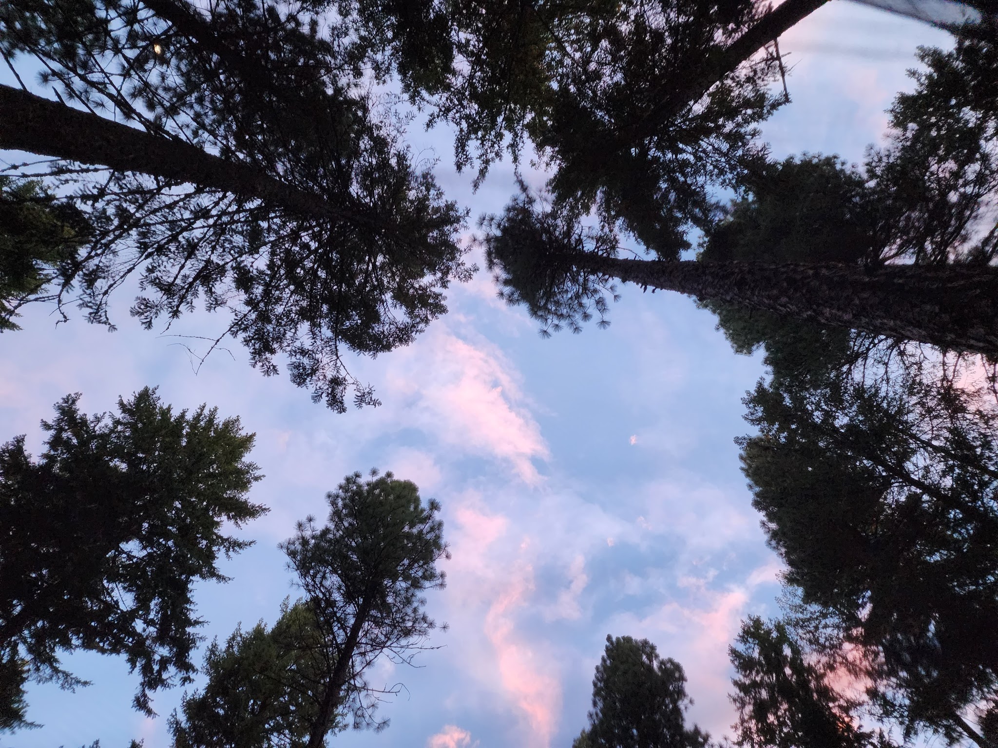 Lake Wenatchee State Park