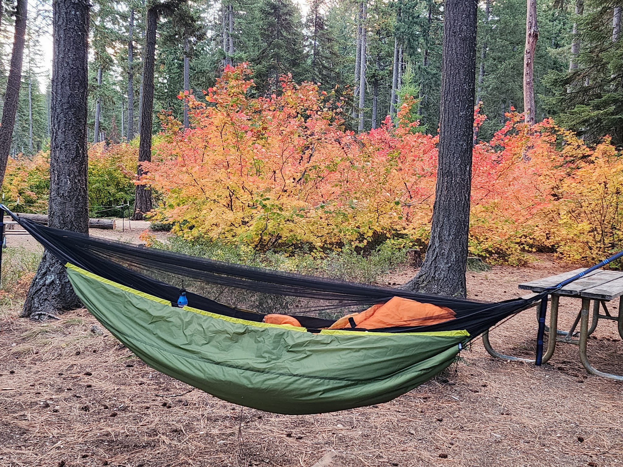 Lake Wenatchee State Park