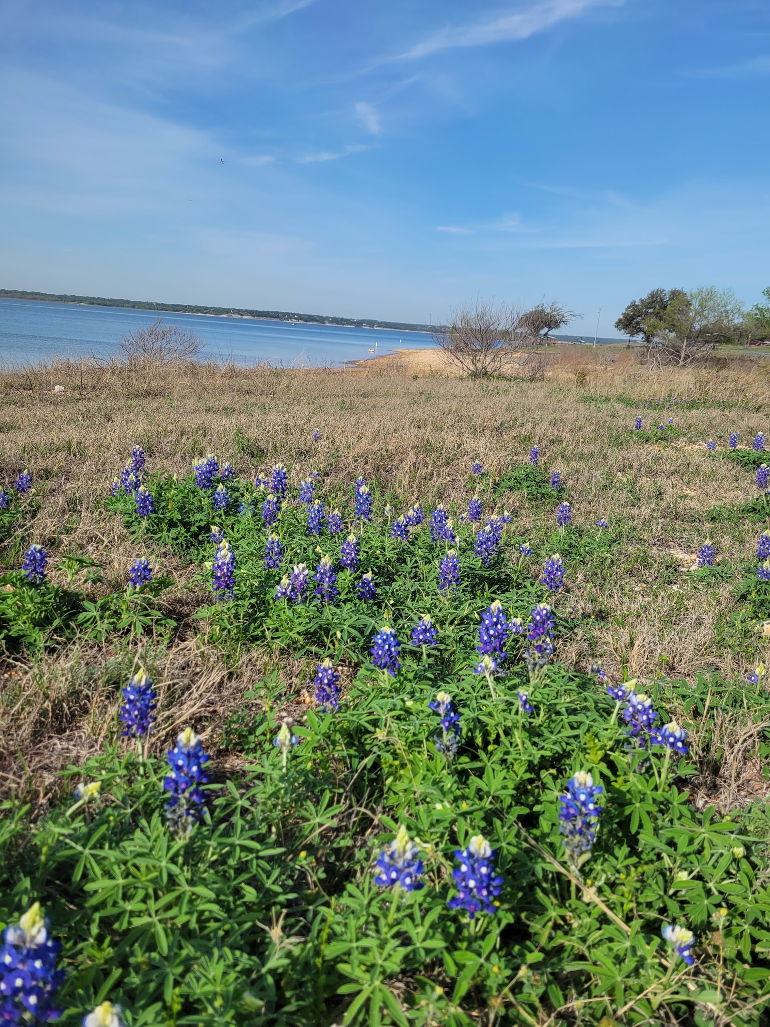 Lake Whitney State Park