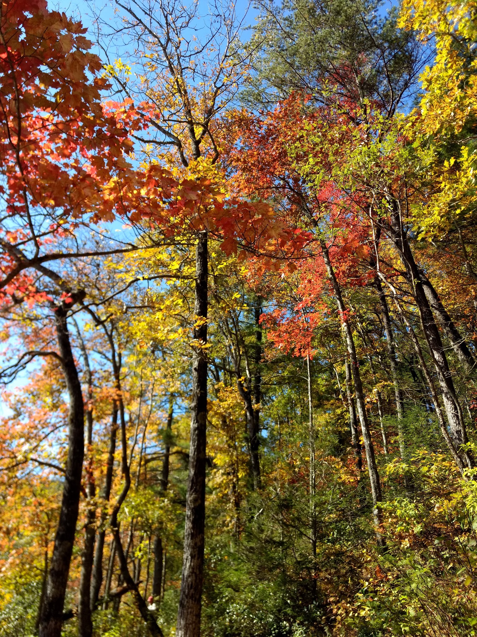 Lake Winfield Scott Recreation Area