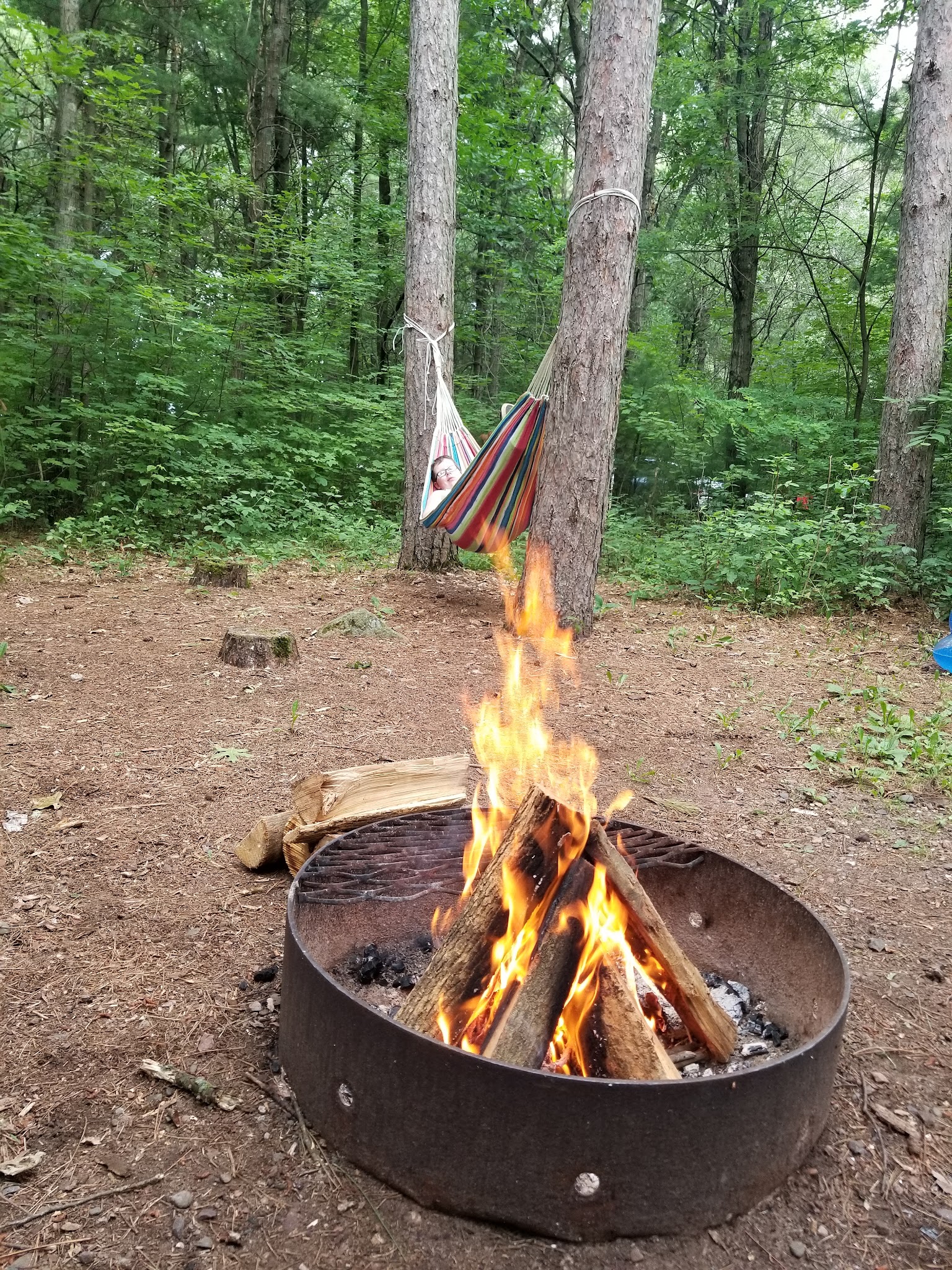 Lake Wissota State Park