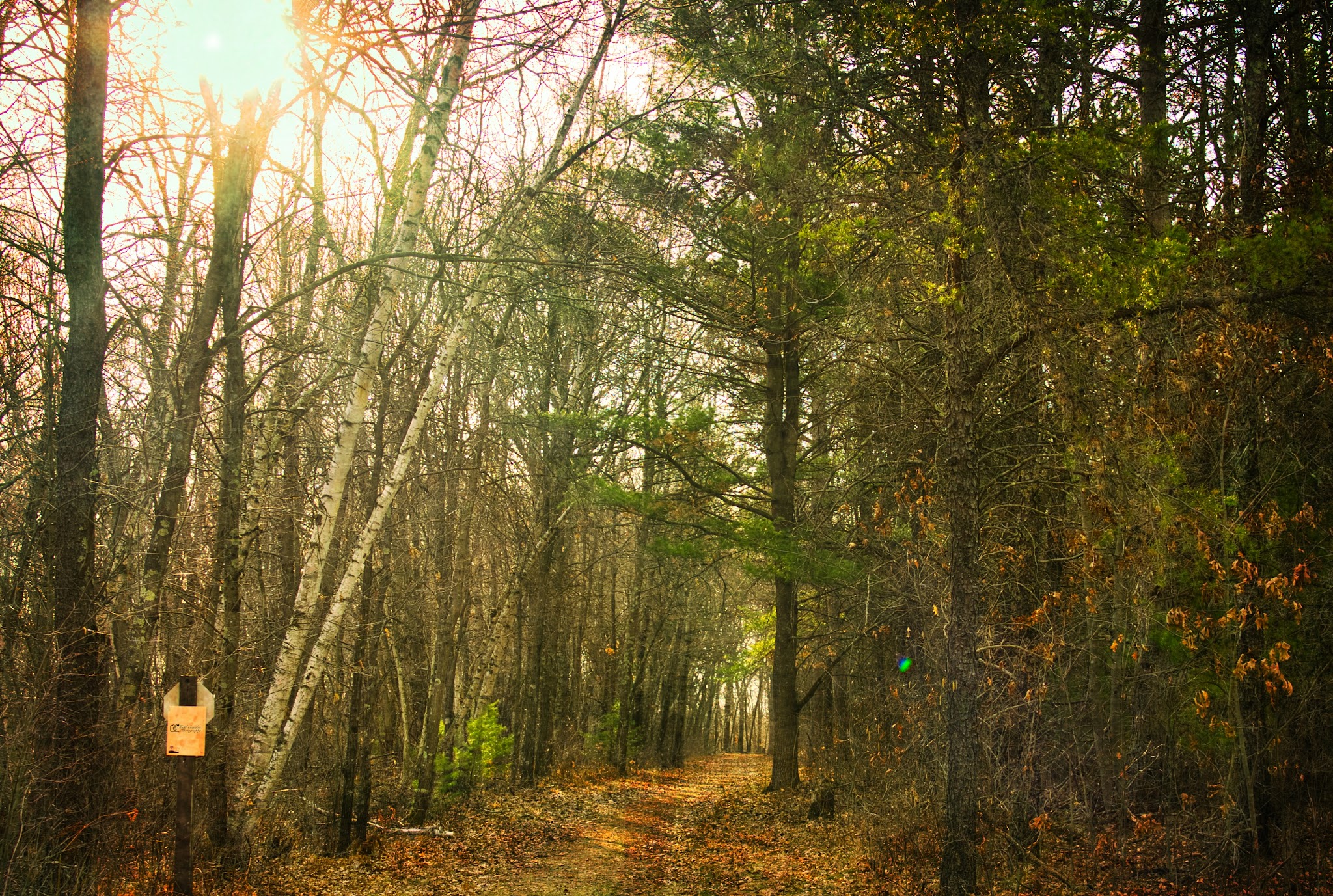 Lake Wissota State Park