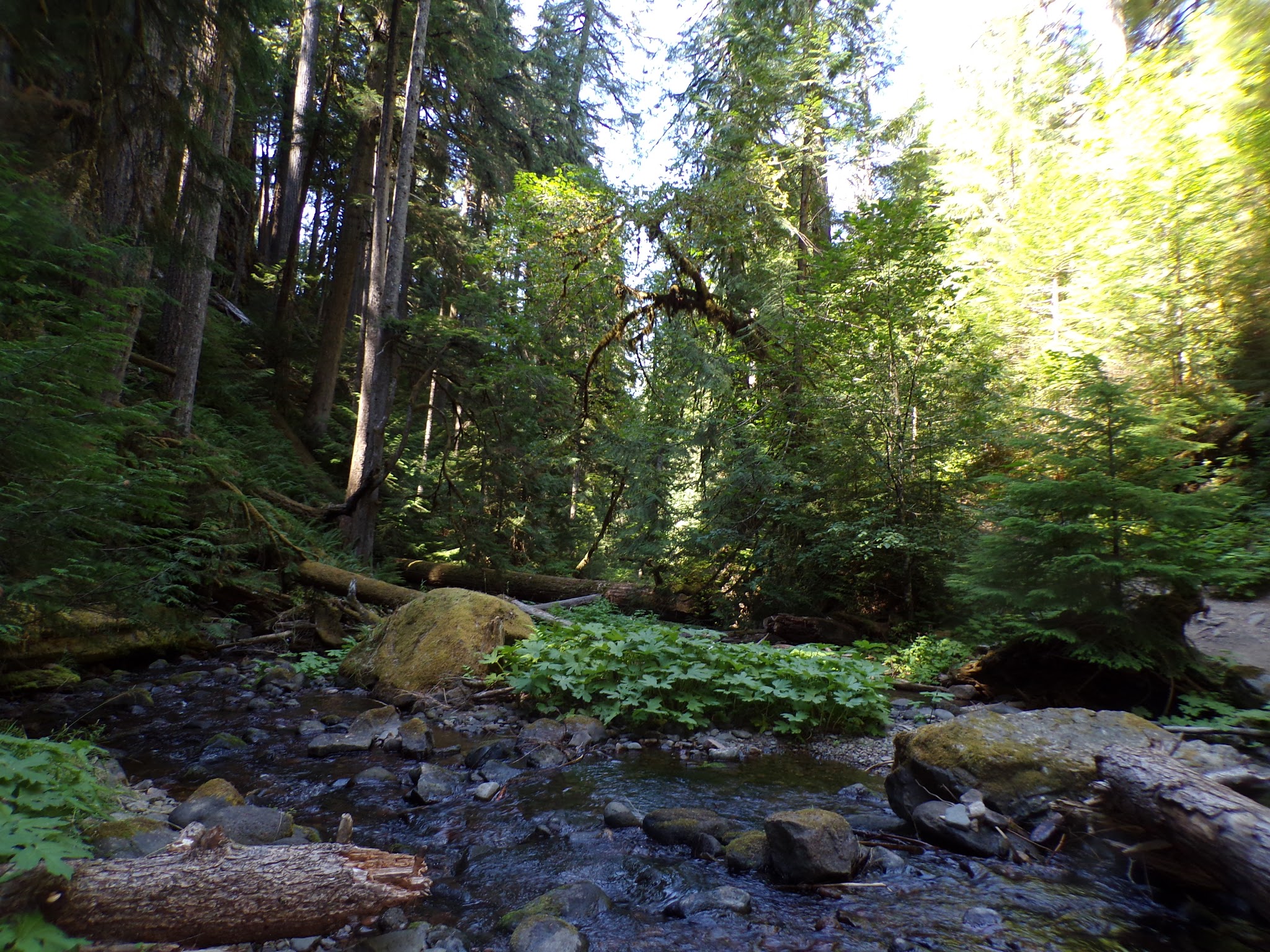 Lake In The Woods Campground