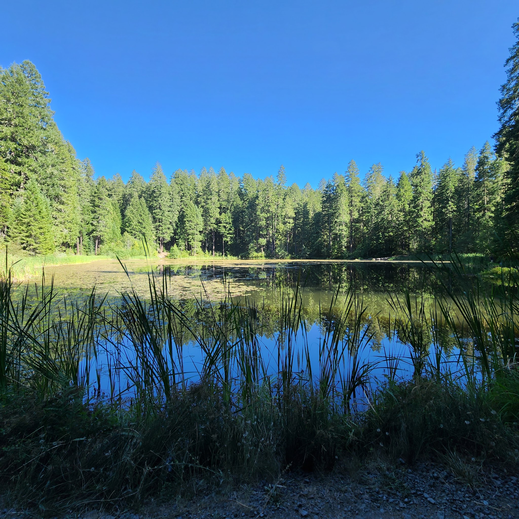 Lake In The Woods Campground