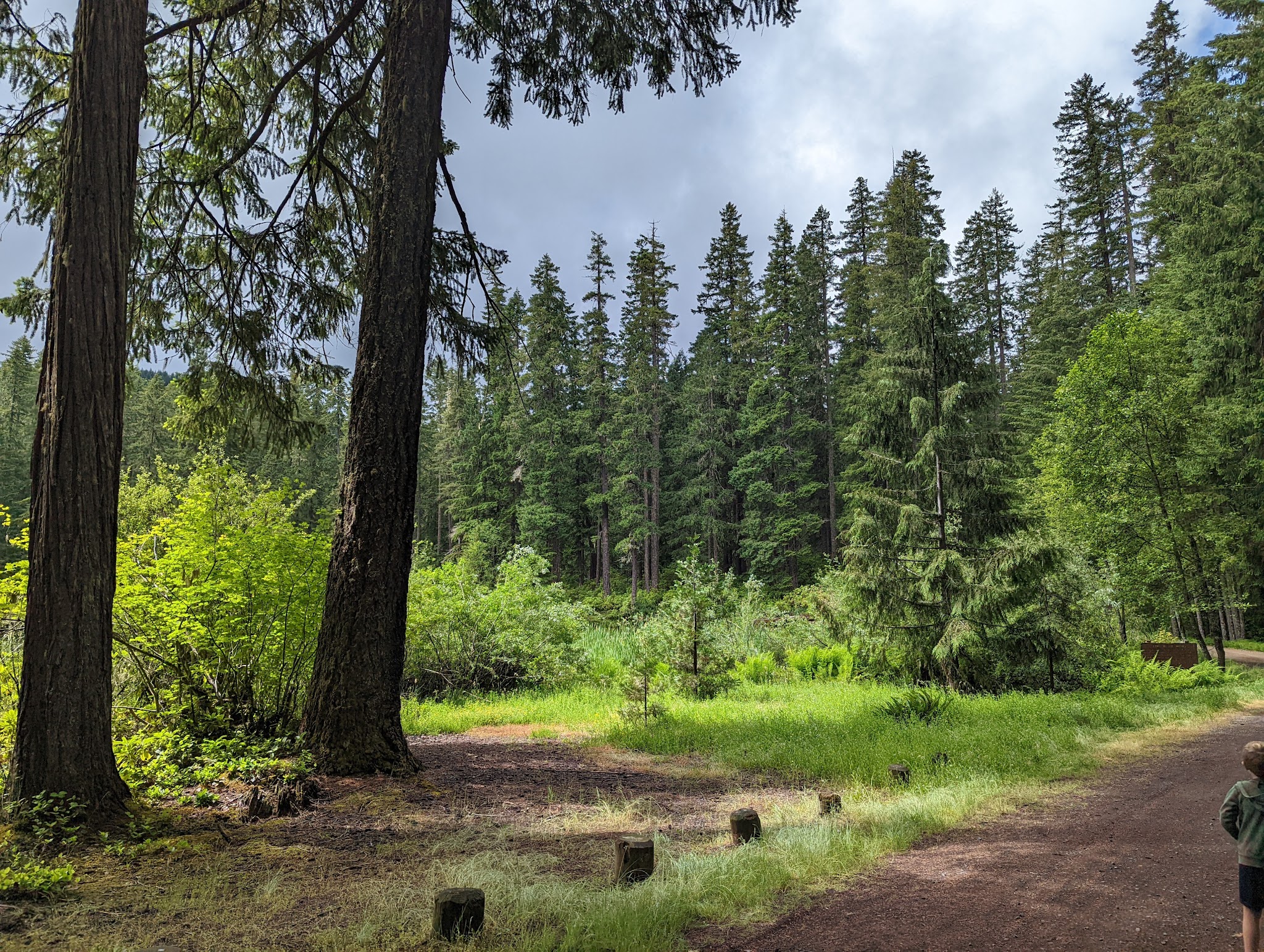 Lake In The Woods Campground