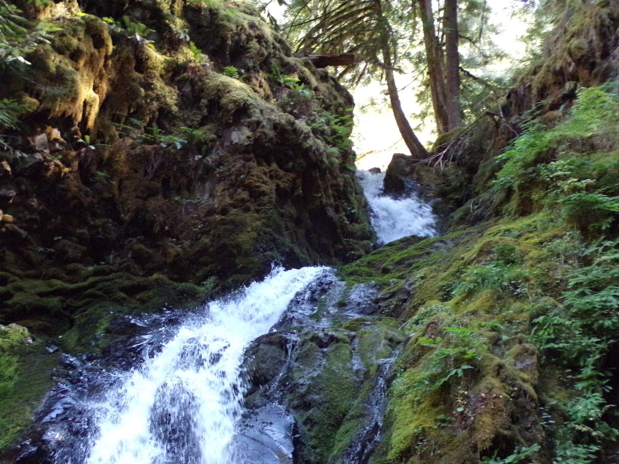 Lake In The Woods Campground