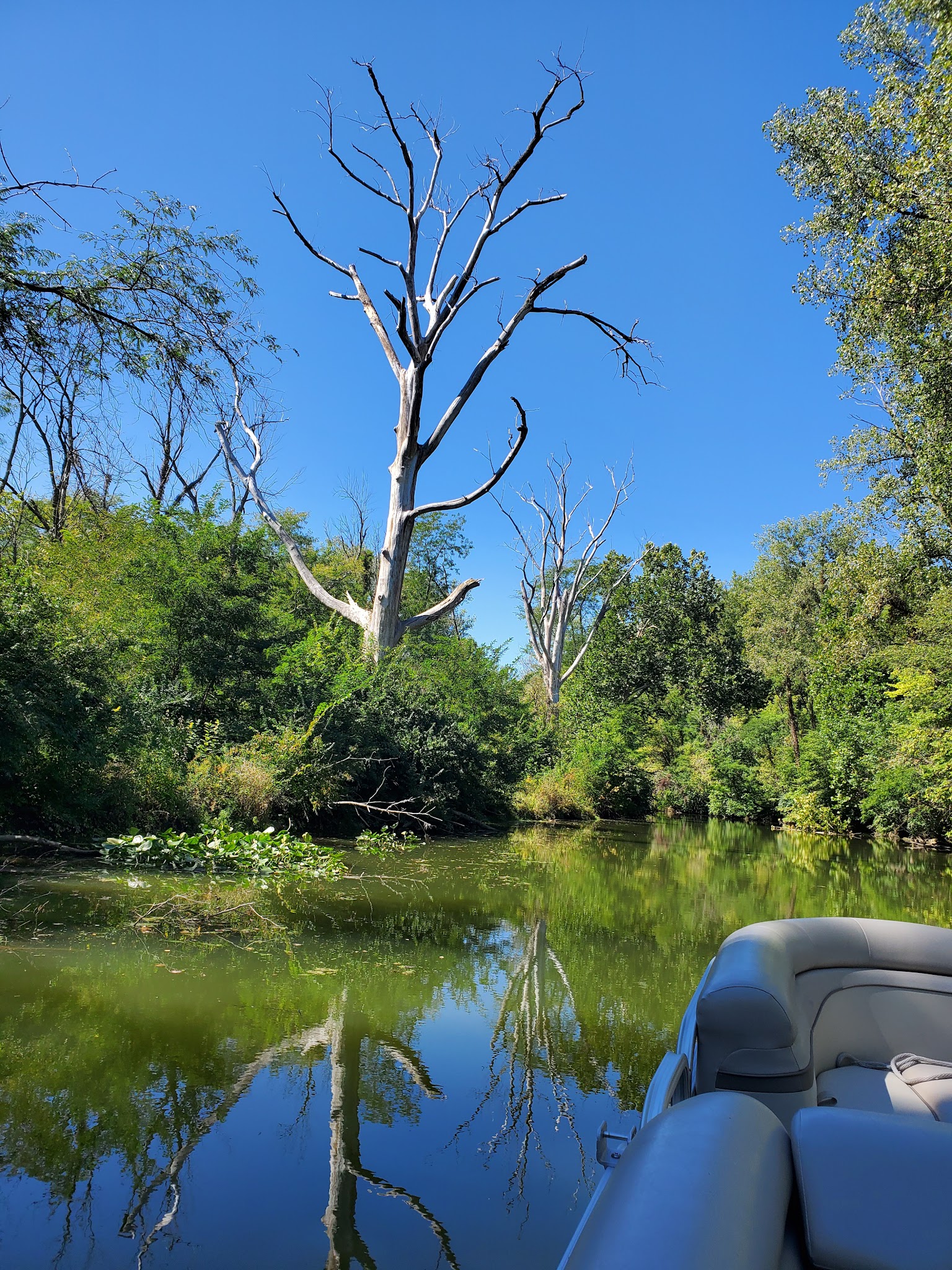Lakeridge Trail Campground