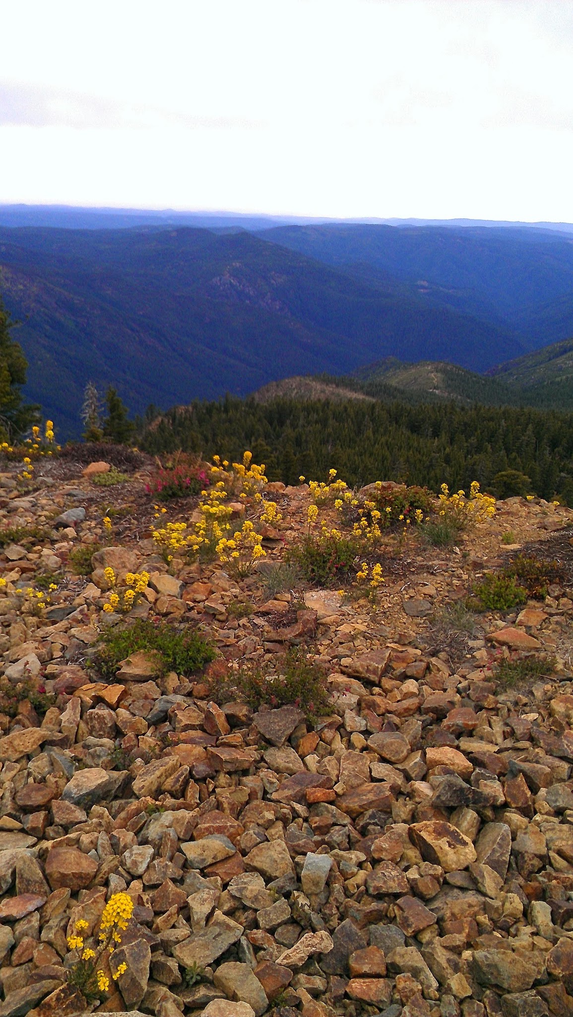 Lakes Basin Group Campground