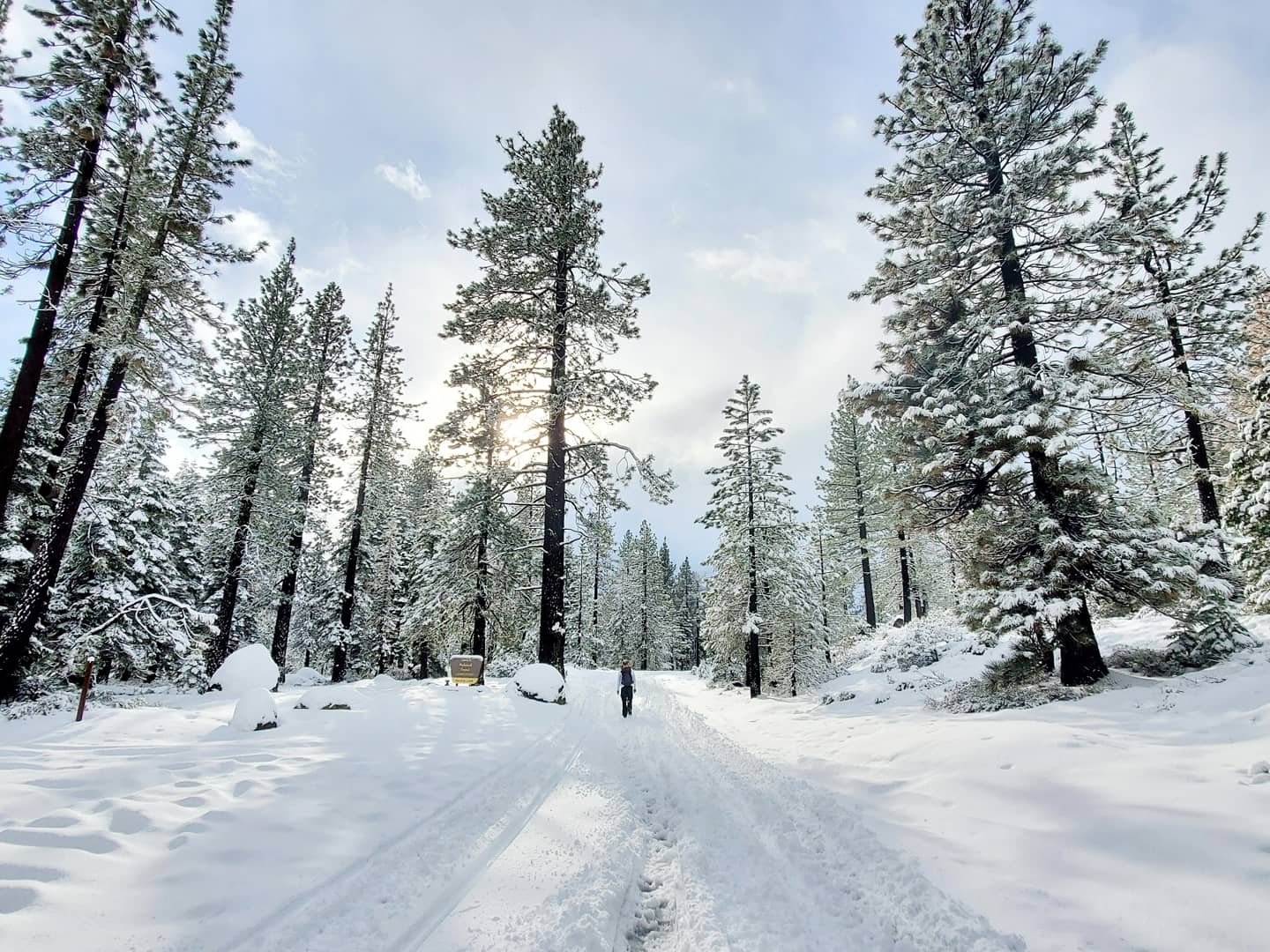 Lakes Basin Group Campground