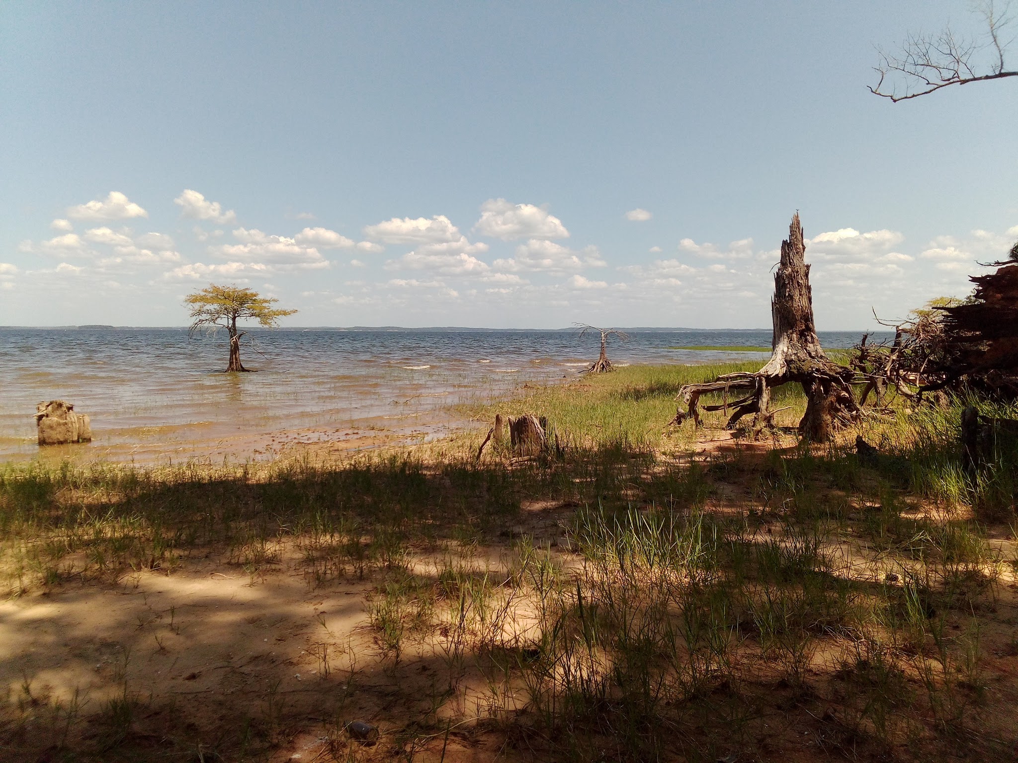 Lakeview Campground: (409) 625-1940