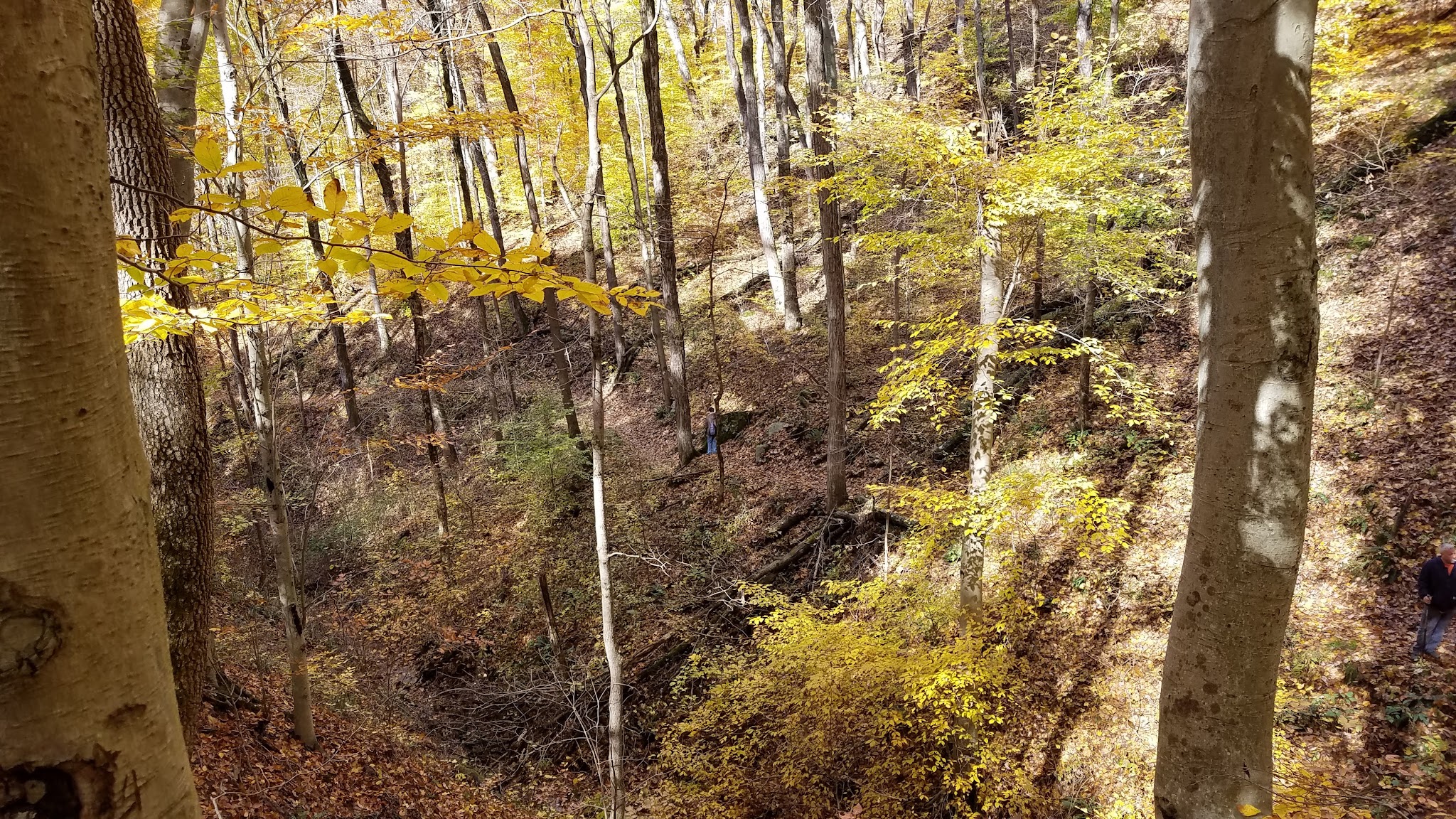 Lamping Homestead Recreation Area