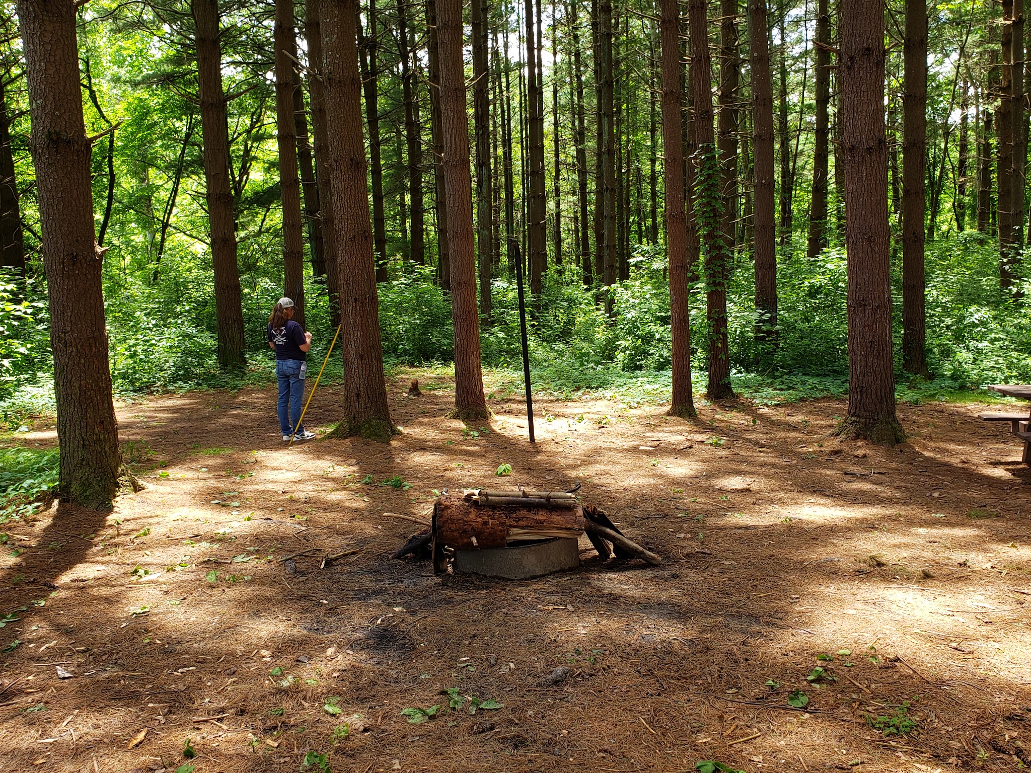 Lamping Homestead Recreation Area