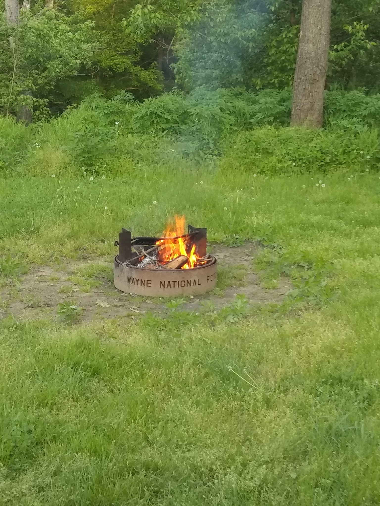 Lane Farm Campground