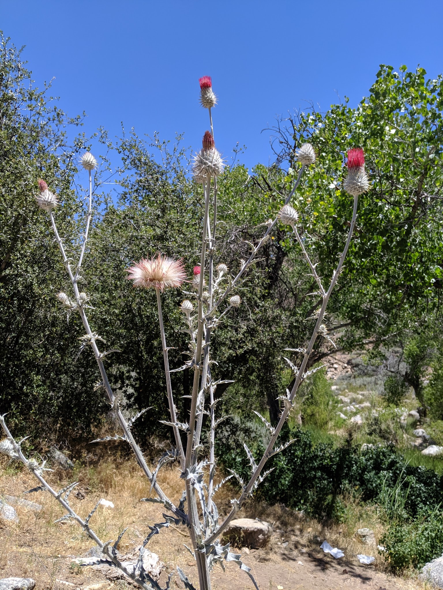 Lane Ranch Campground