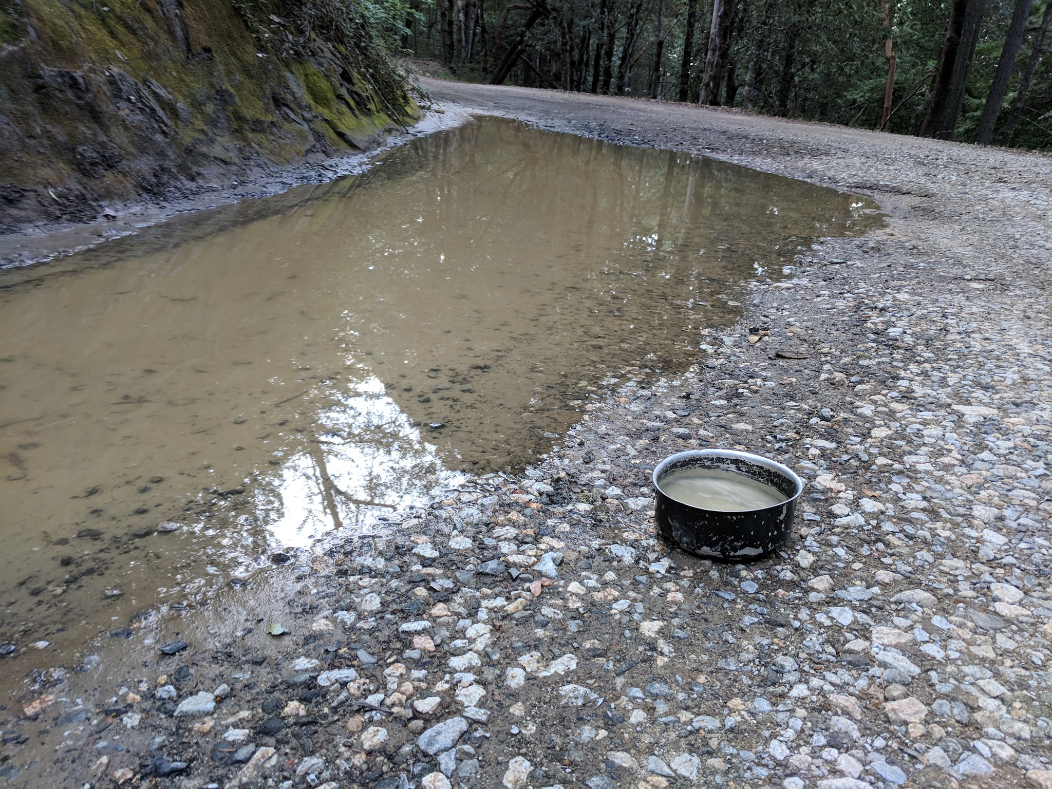 Lane Trail Campground