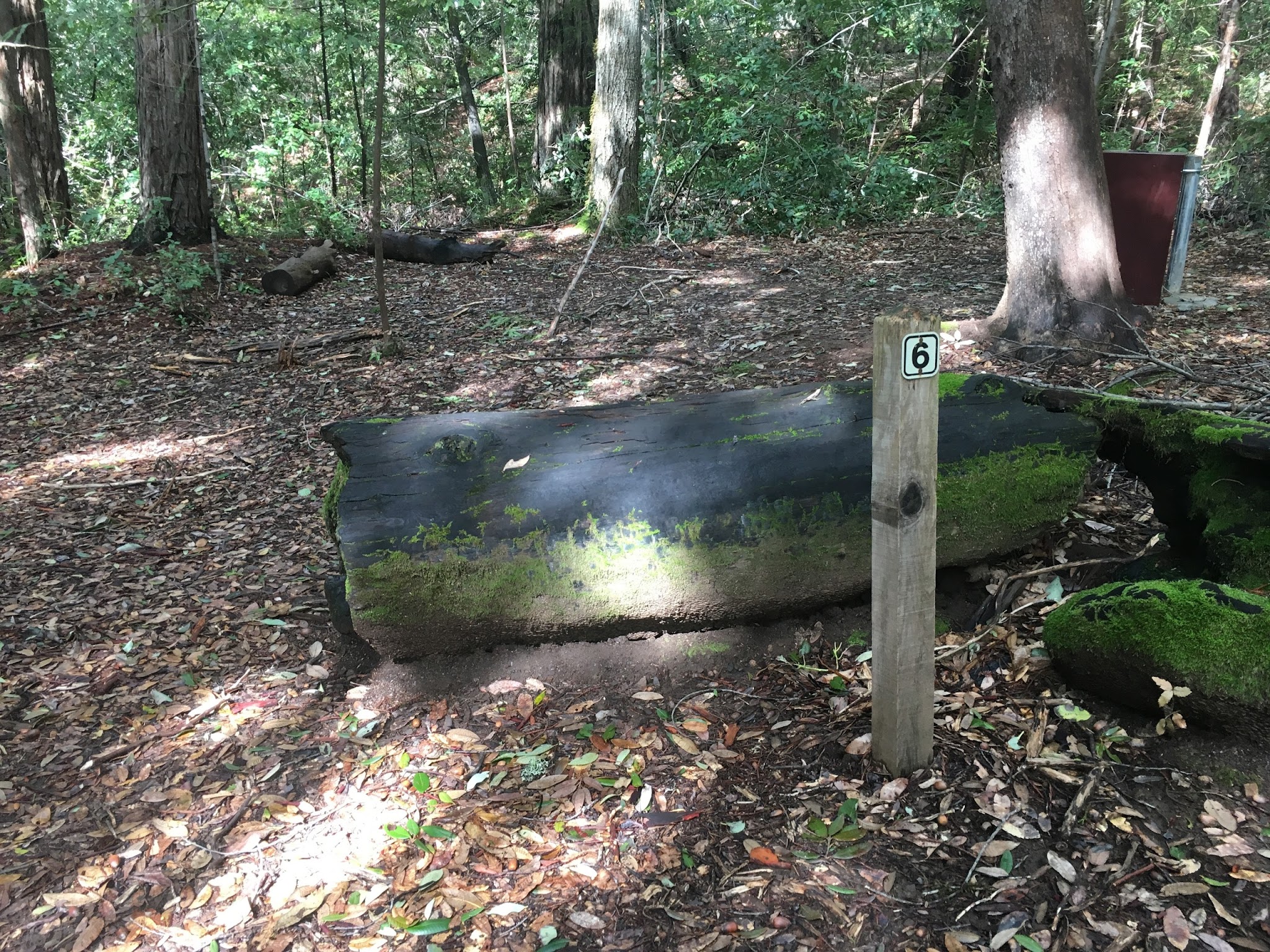 Lane Trail Campground