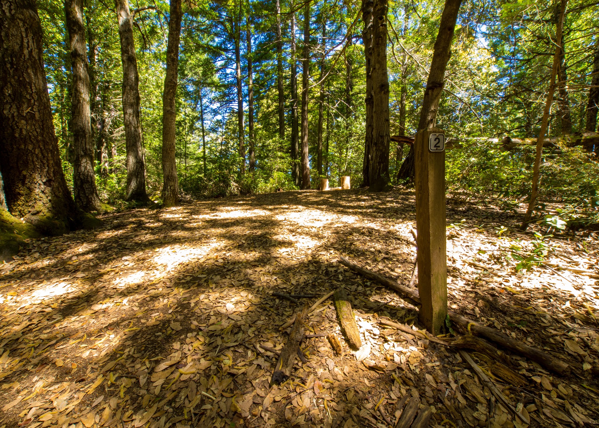 Lane Trail Campground