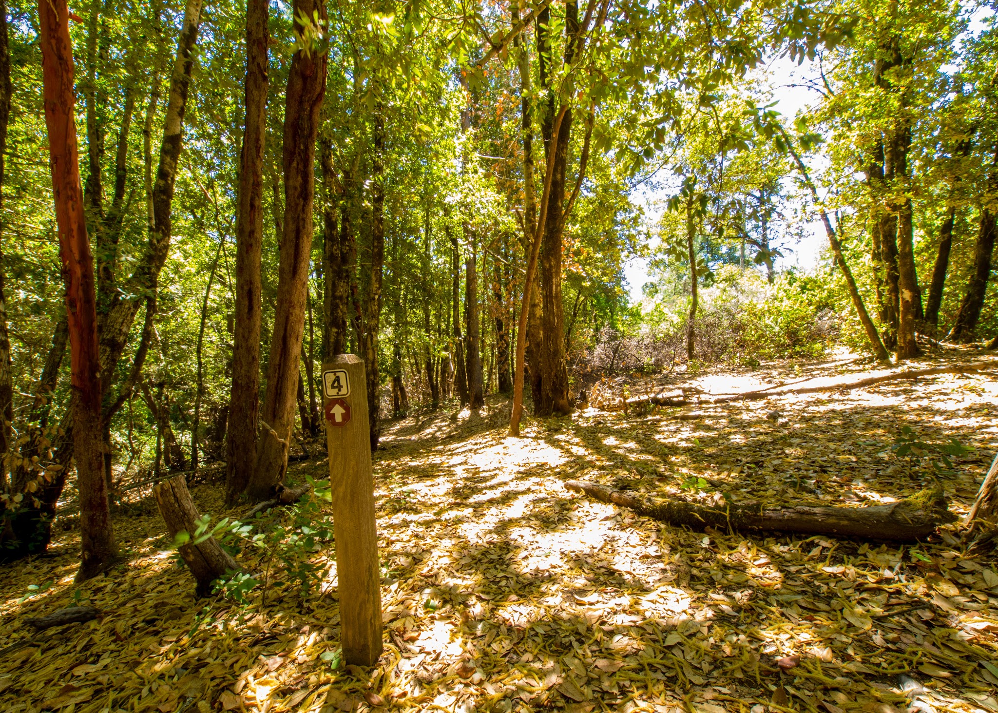 Lane Trail Campground