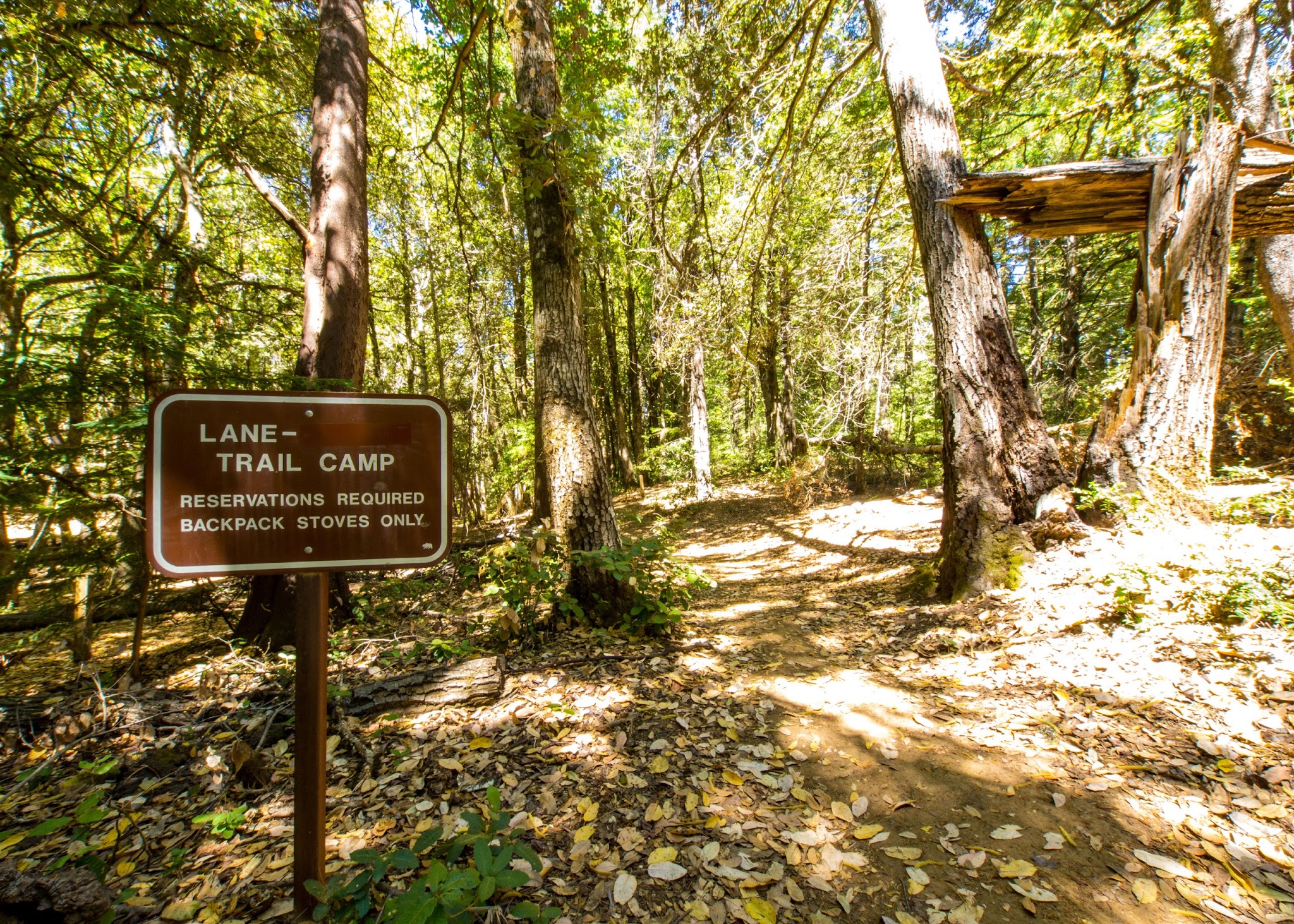 Lane Trail Campground