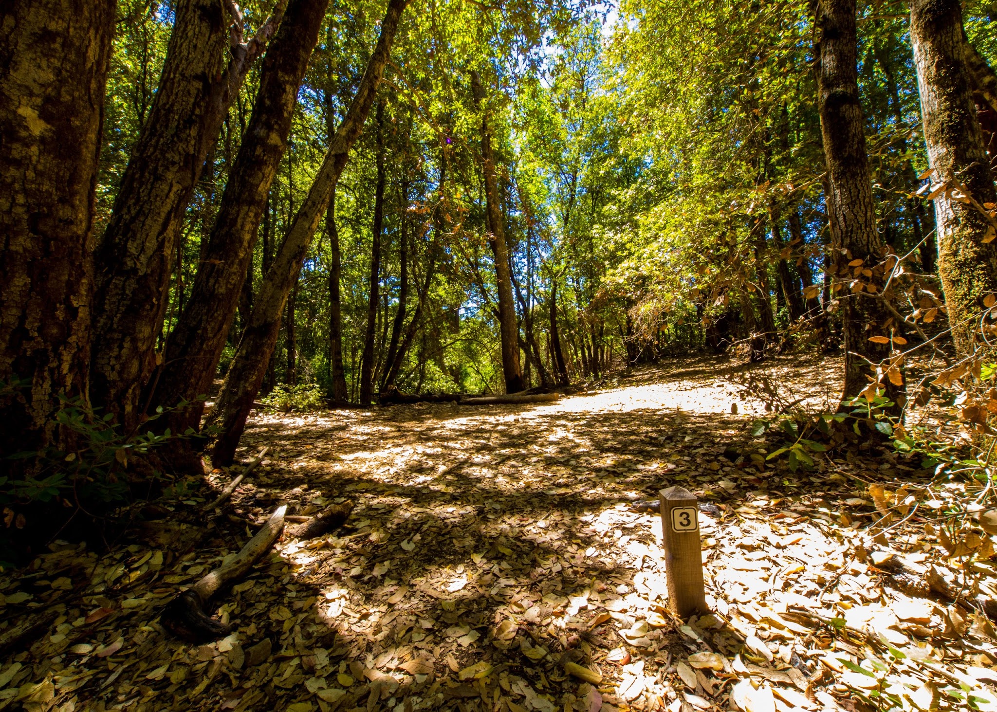 Lane Trail Campground