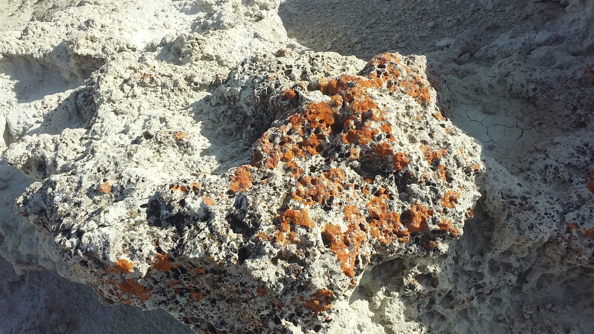 Lantis Spring Campground