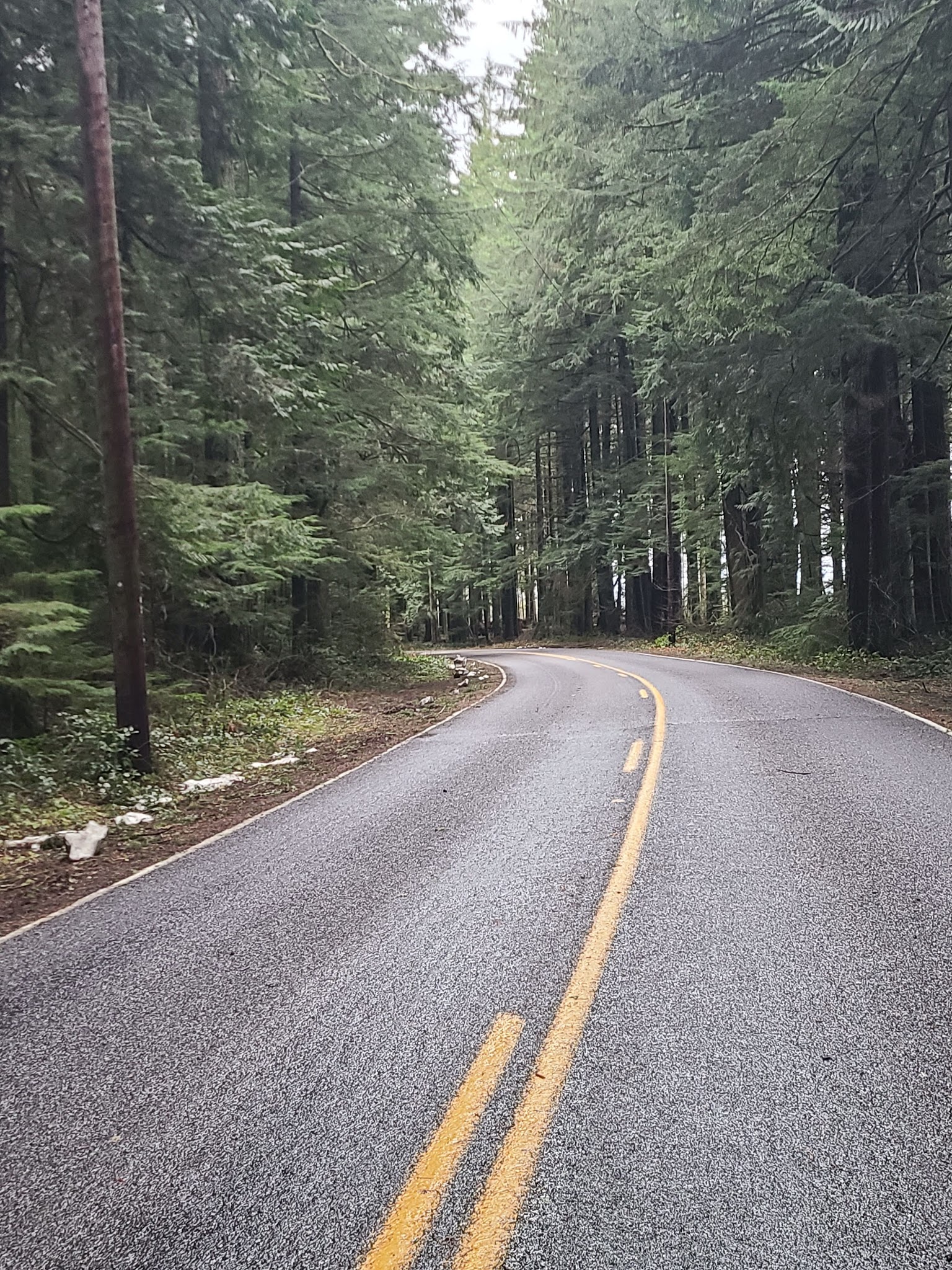 Larch Mountain Corridor Natural Sup Campground