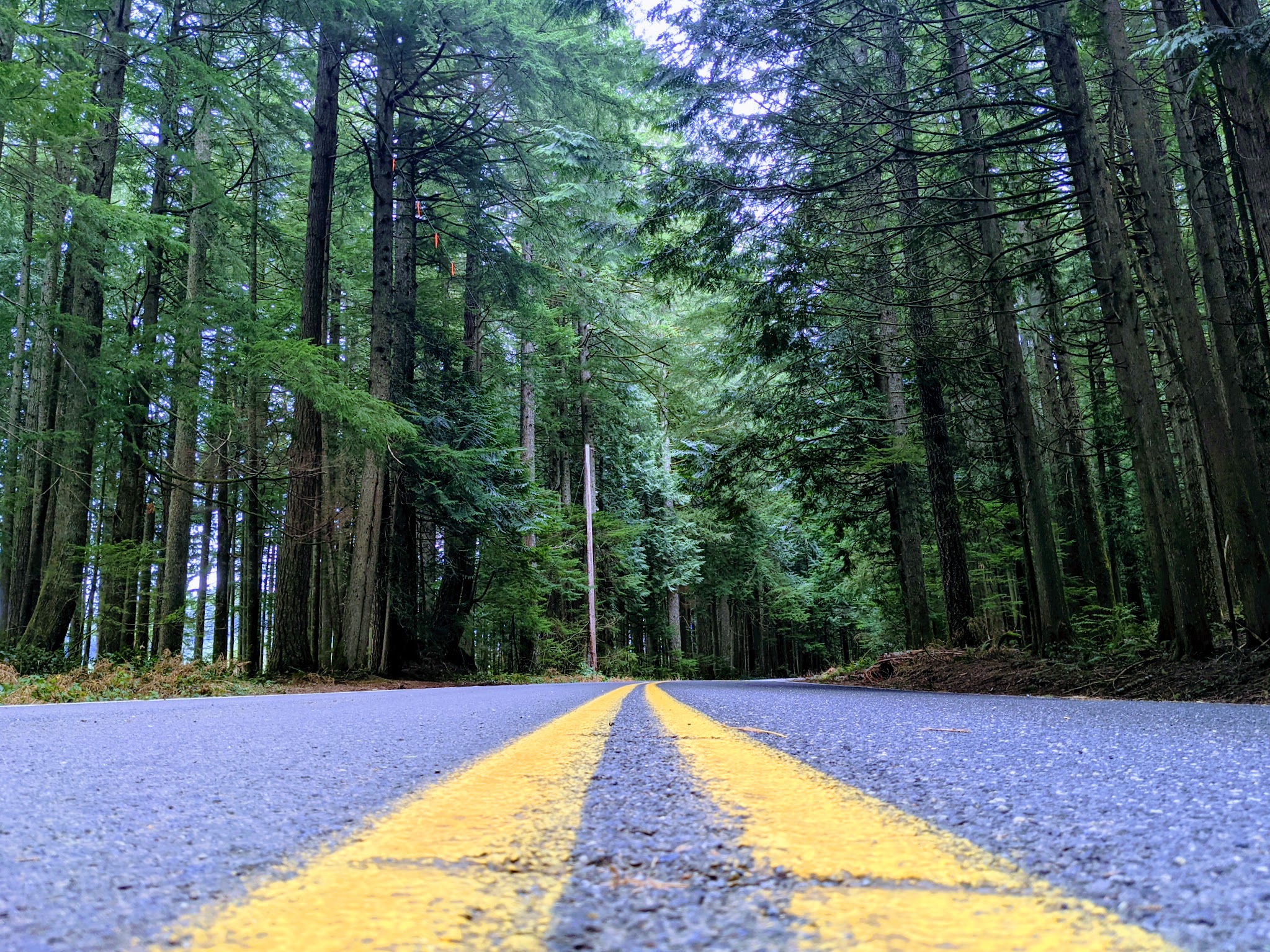 Larch Mountain Corridor Natural Sup Campground
